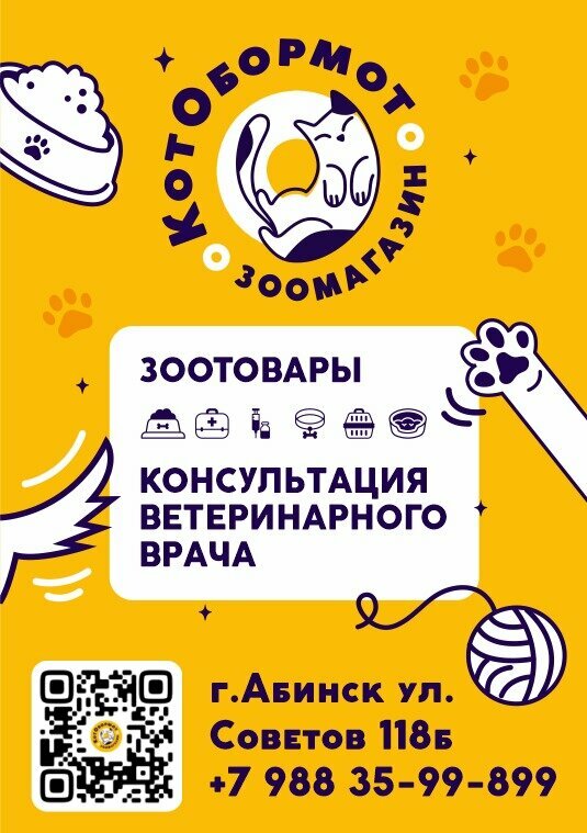 Pet shop Кот обормот, Abinsk, photo