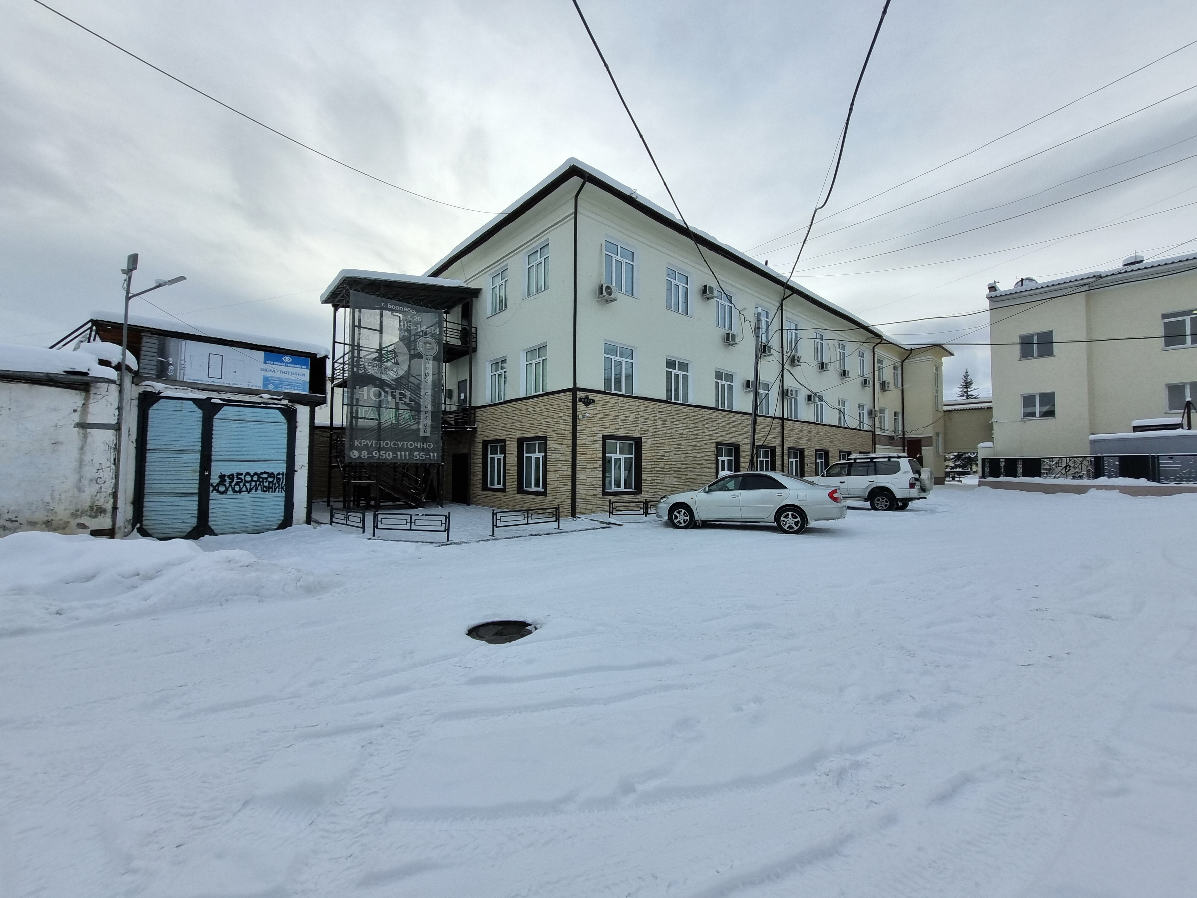 Фото Тайга