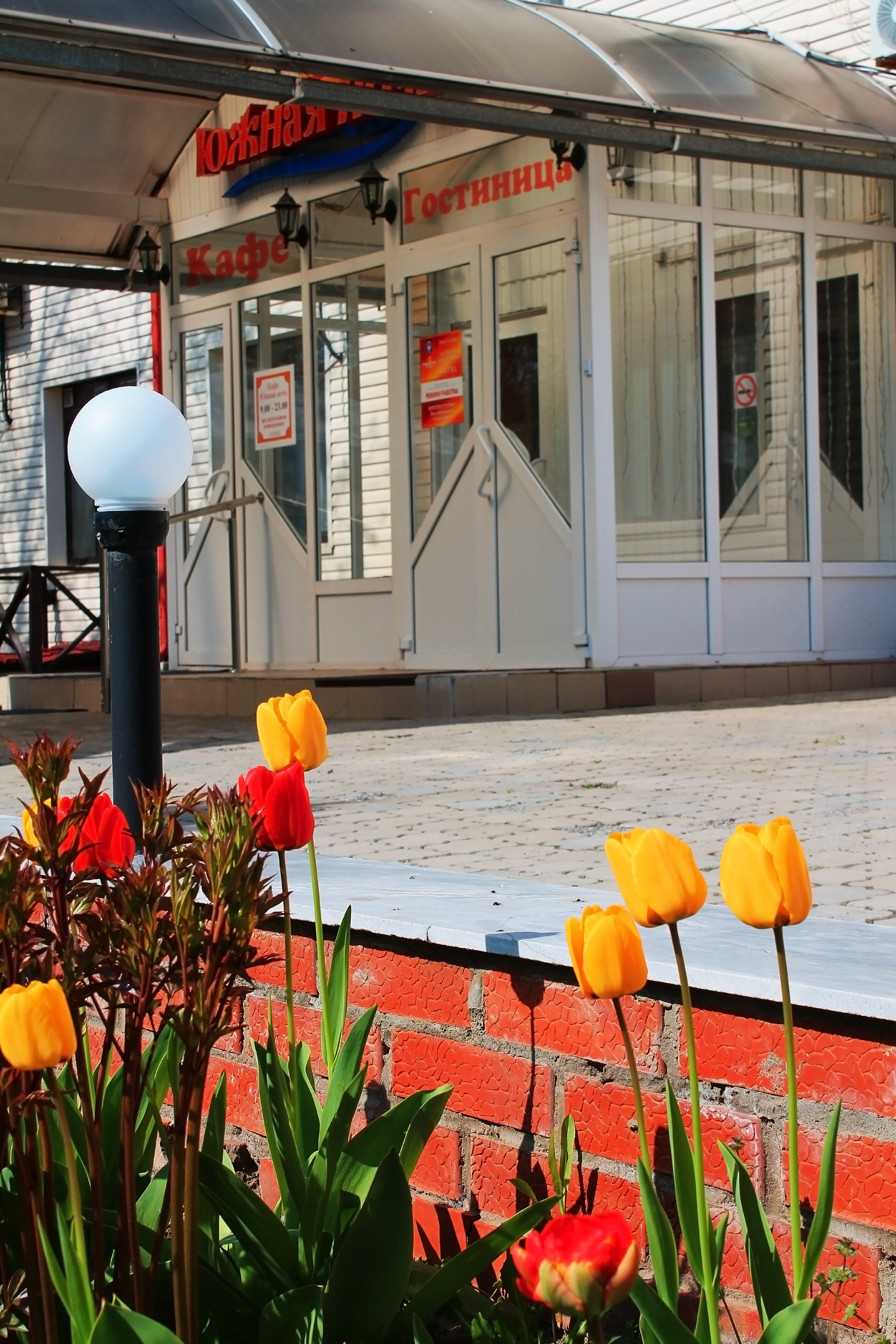 Фото Южная ночь