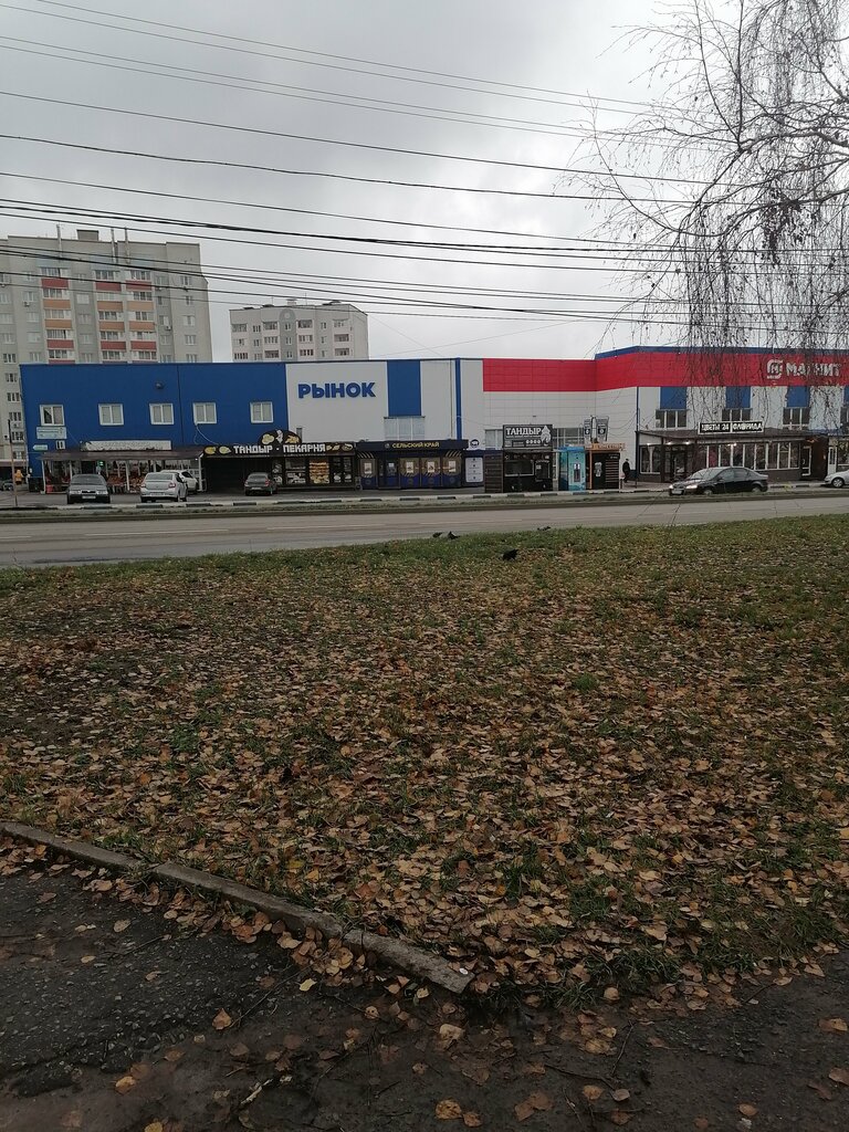 Farmers' market Selskokhozyaystvenniy rynok, Kursk, photo