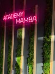 Academy Mamba (Новокосинская ул., 49, Москва), салон красоты в Москве