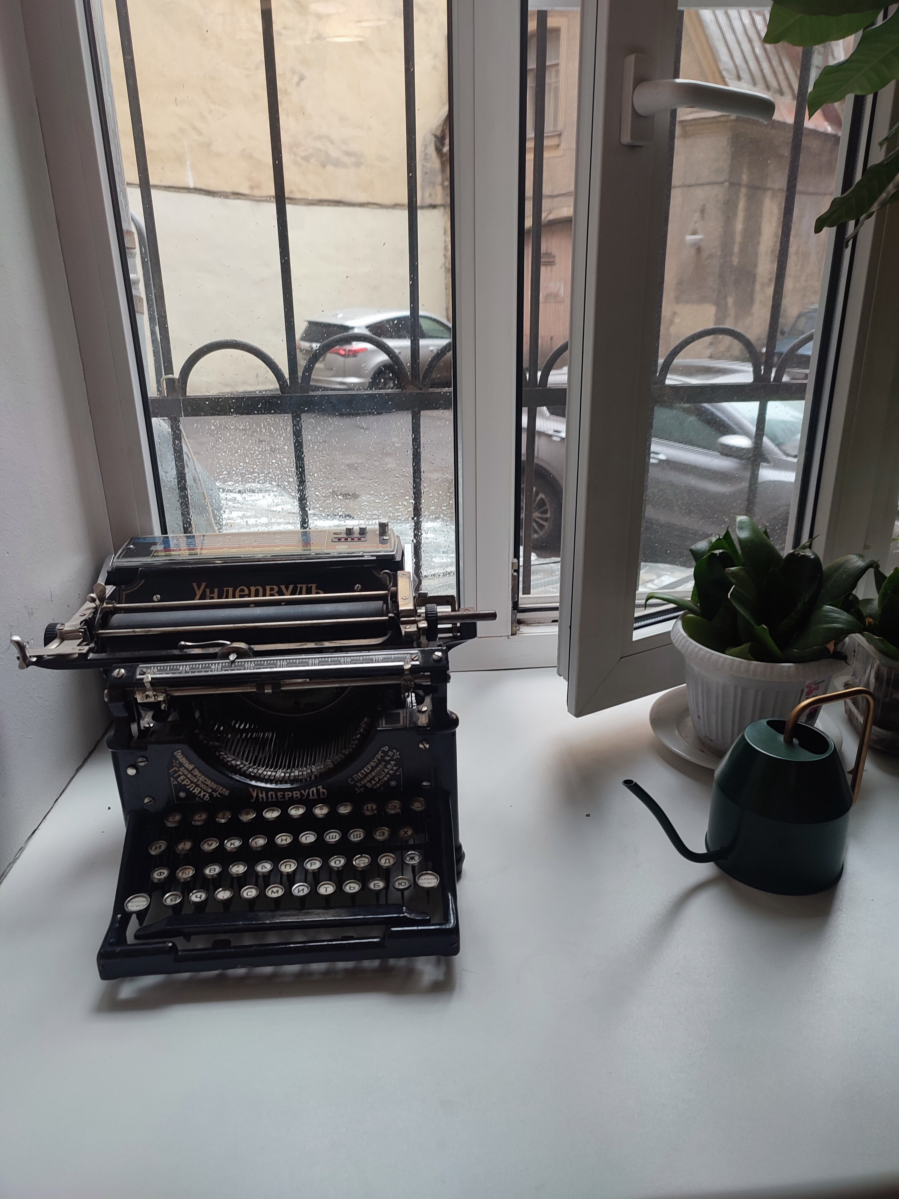 Фото Шелфорт