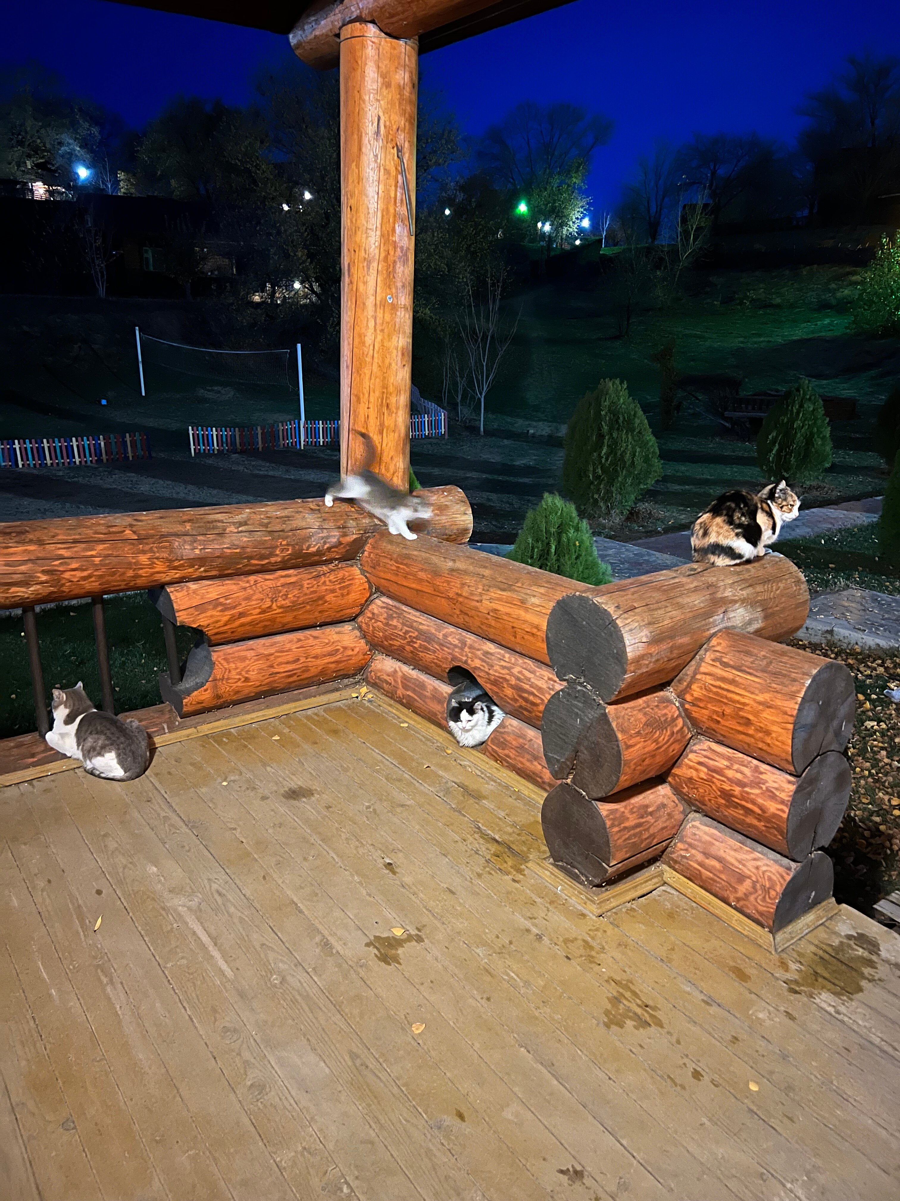 Фото Рыбацкая деревня