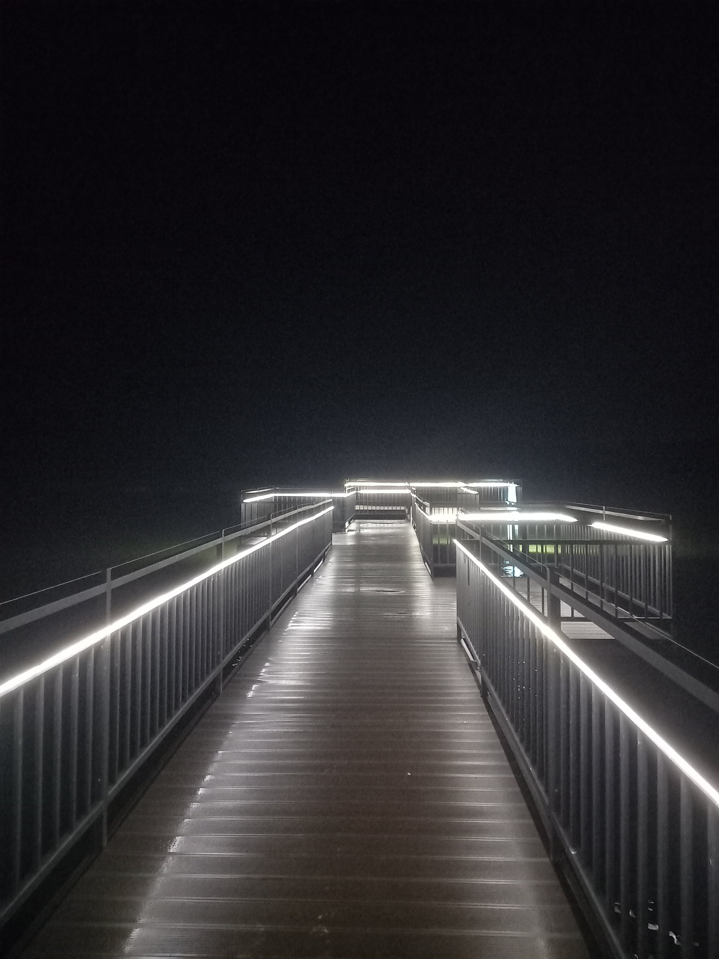 Фото Жемчужина