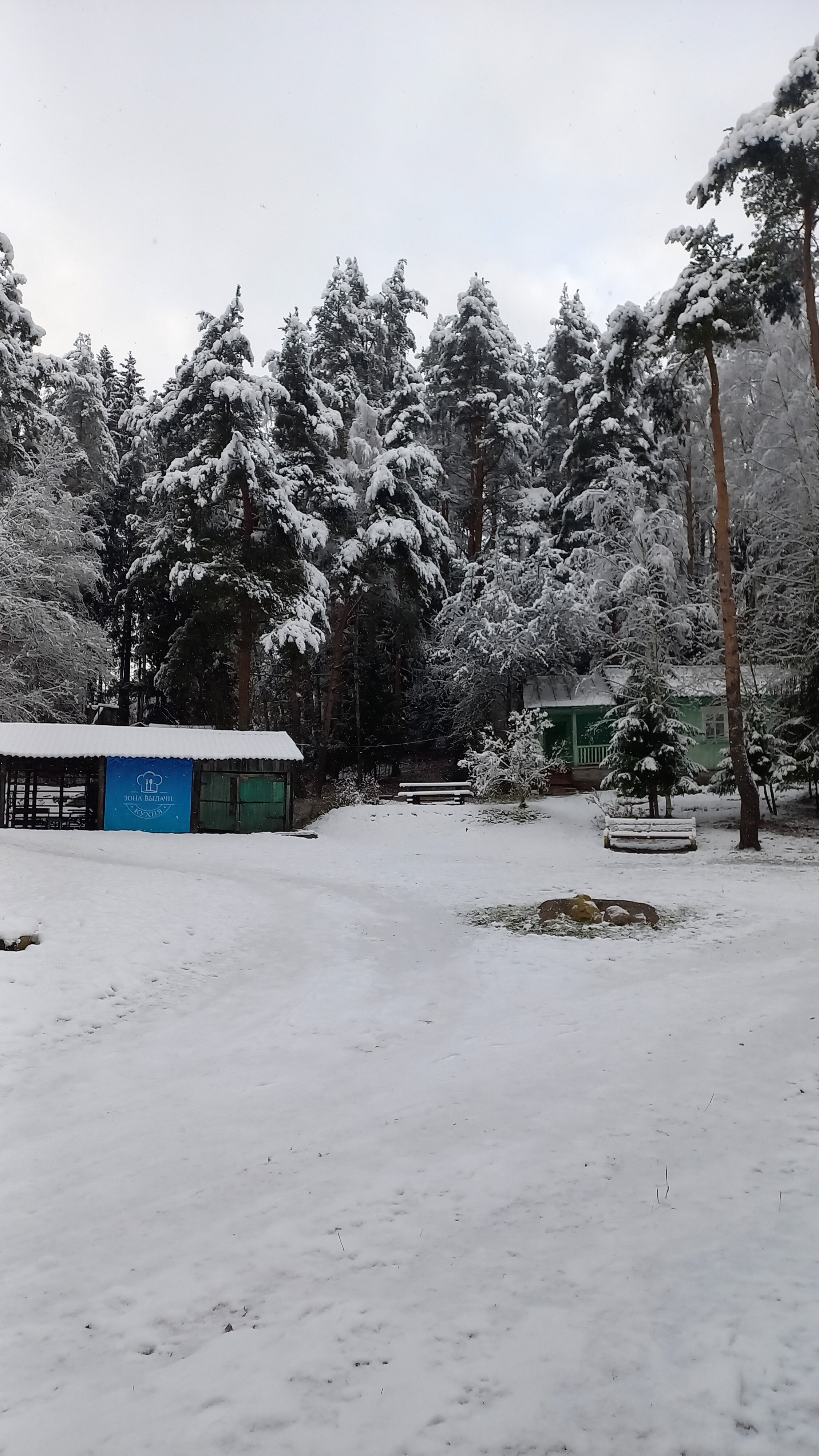 Фото Динамо