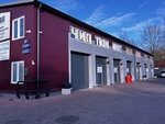 S1Chip (Yaltinskaya Street, 53), car service, auto repair