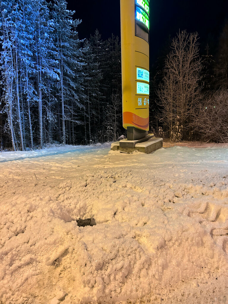 Gas station Rosneft', Murmansk Oblast, photo