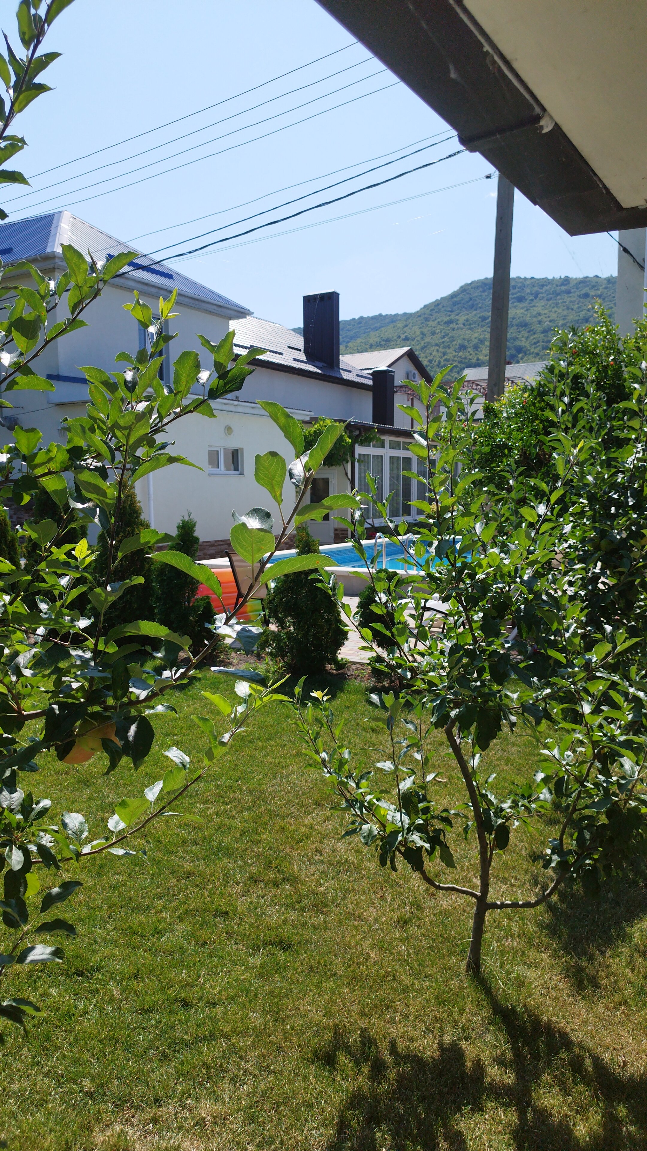 Фото Ангелина