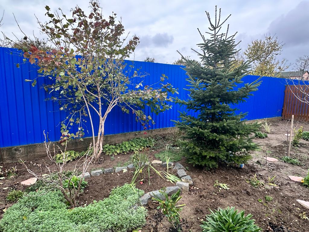 Фото Моника