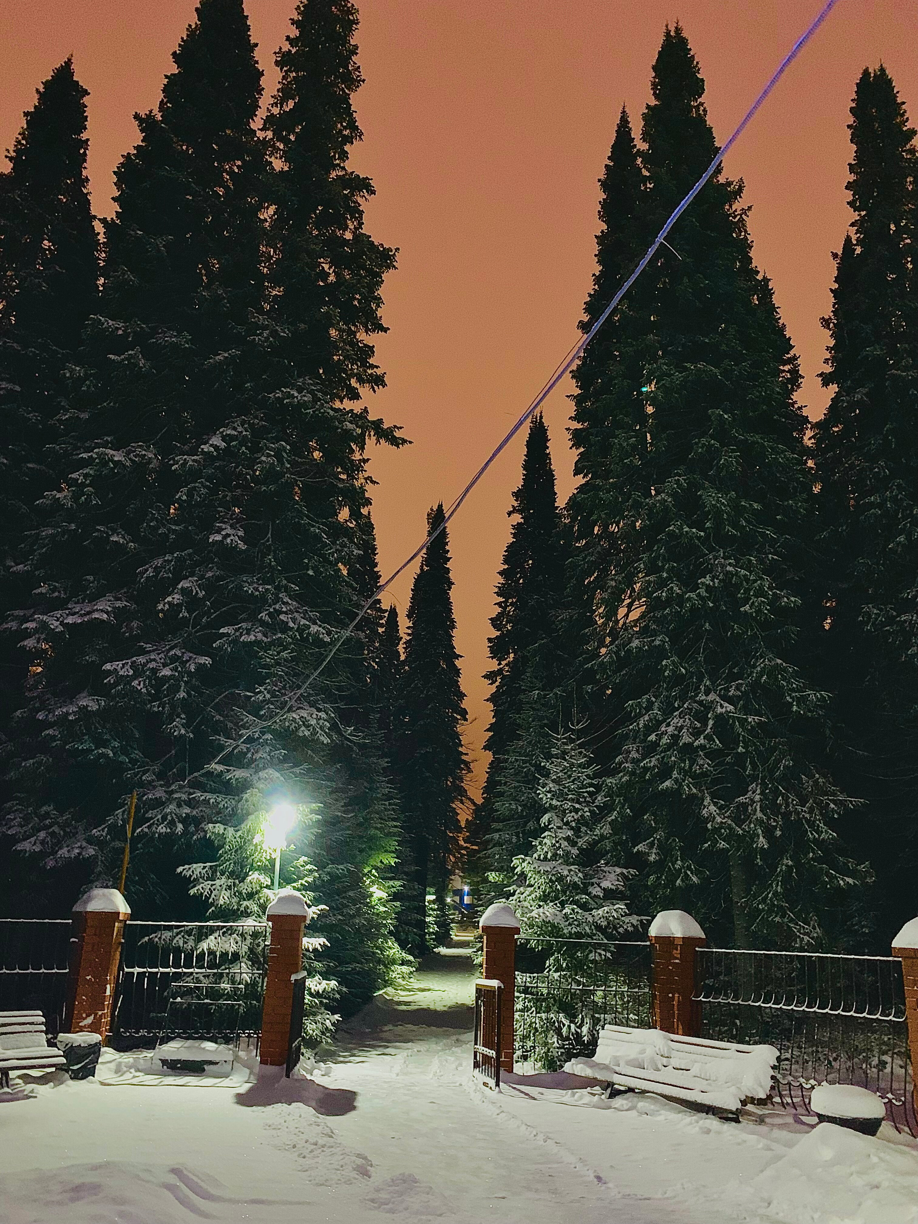 Фото Виктория