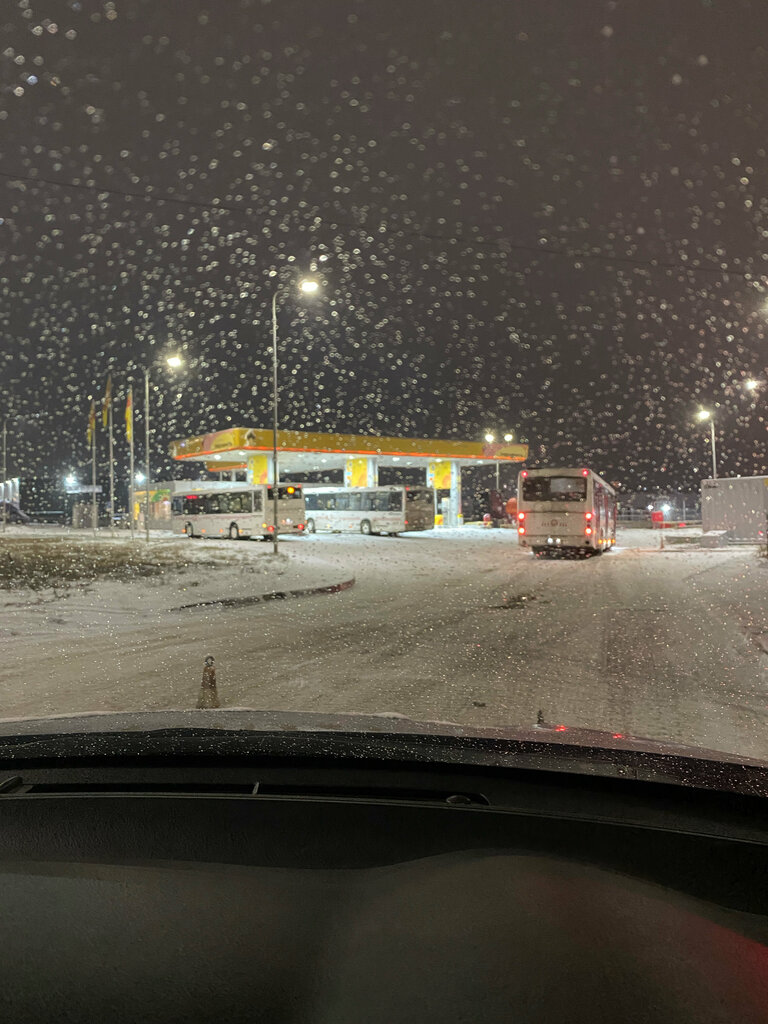 Gas station Rosneft', Krasnoyarsk Krai, photo