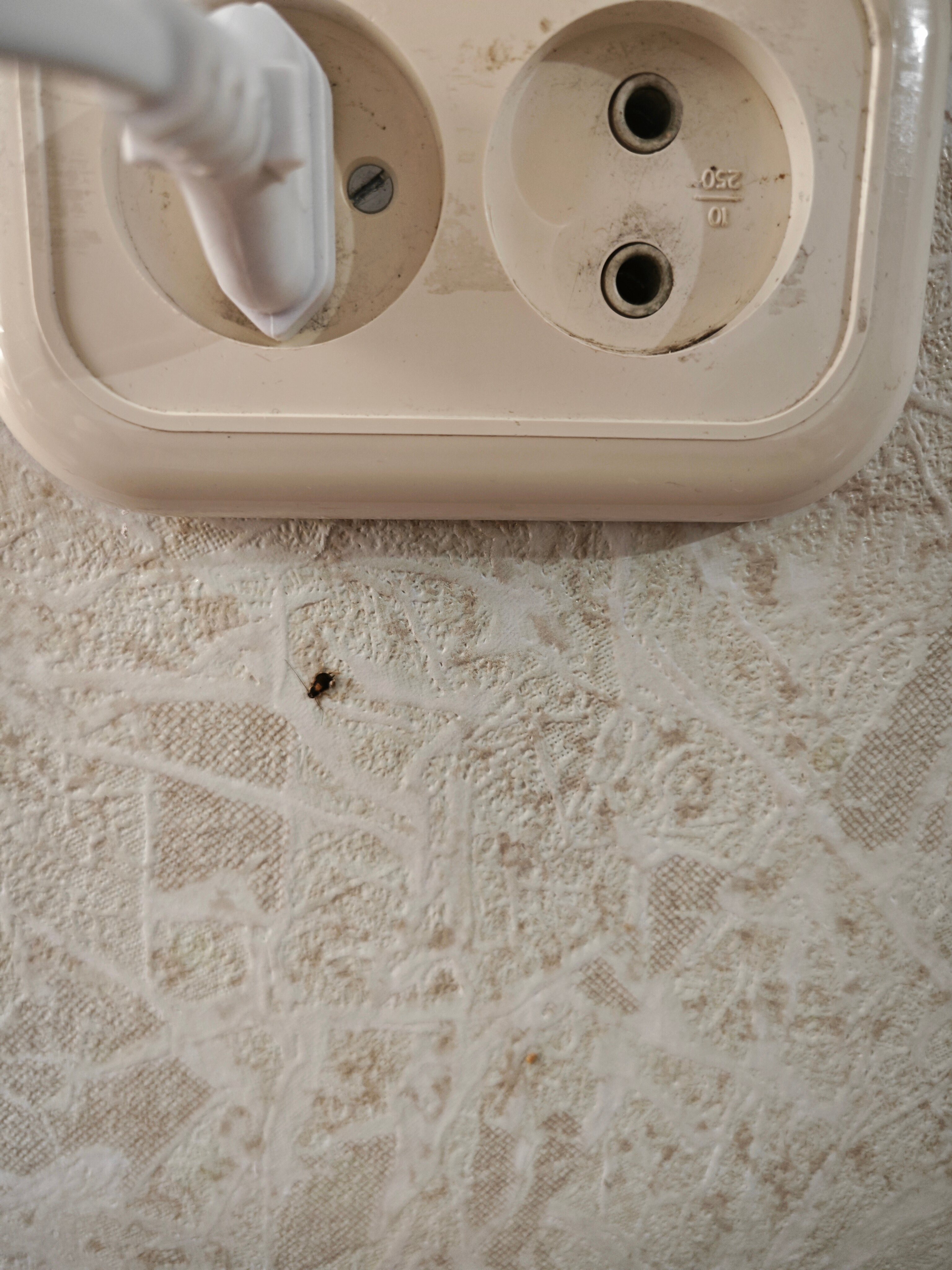 Фото Юбилейная