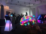 Brain museum (Marata Street, 86) ، متحف