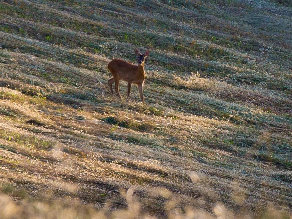 Фото Relais L'Antico Convento