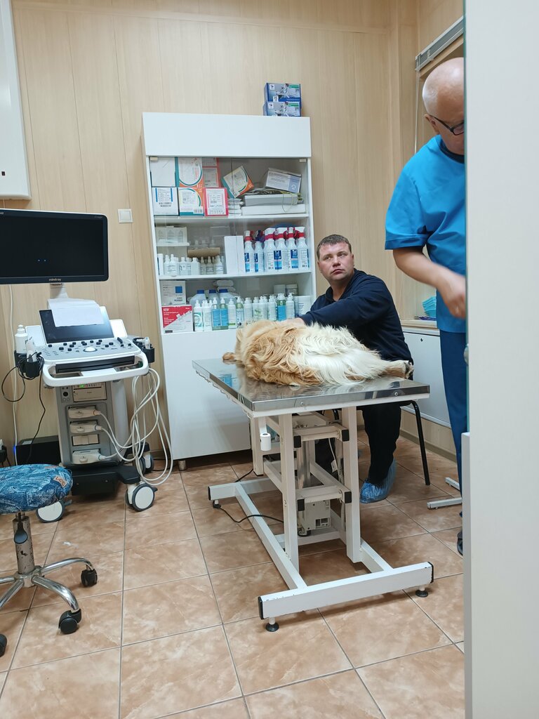 Veterinary clinic Veles, Uhta, photo