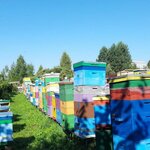 ЛПХ Олейник В. С. (Otradnaya Street, вл16), miel y productos de apicultura
