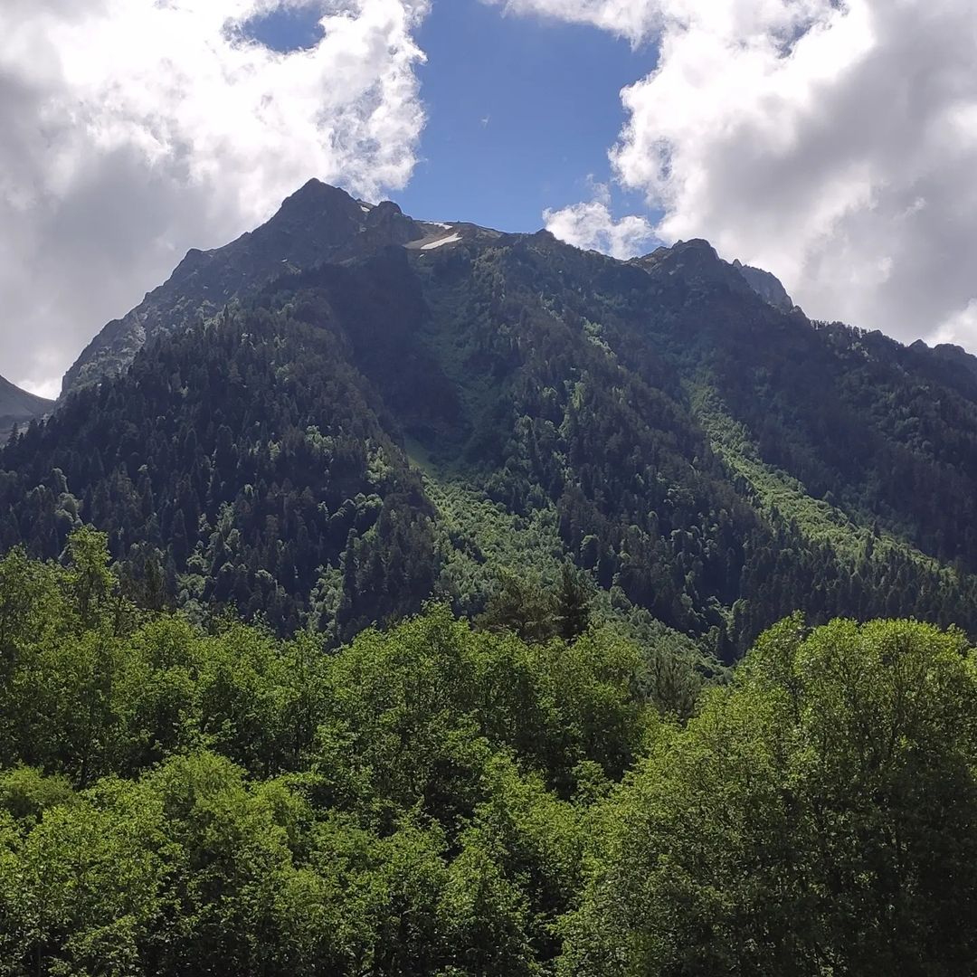 Фото Тамерлан