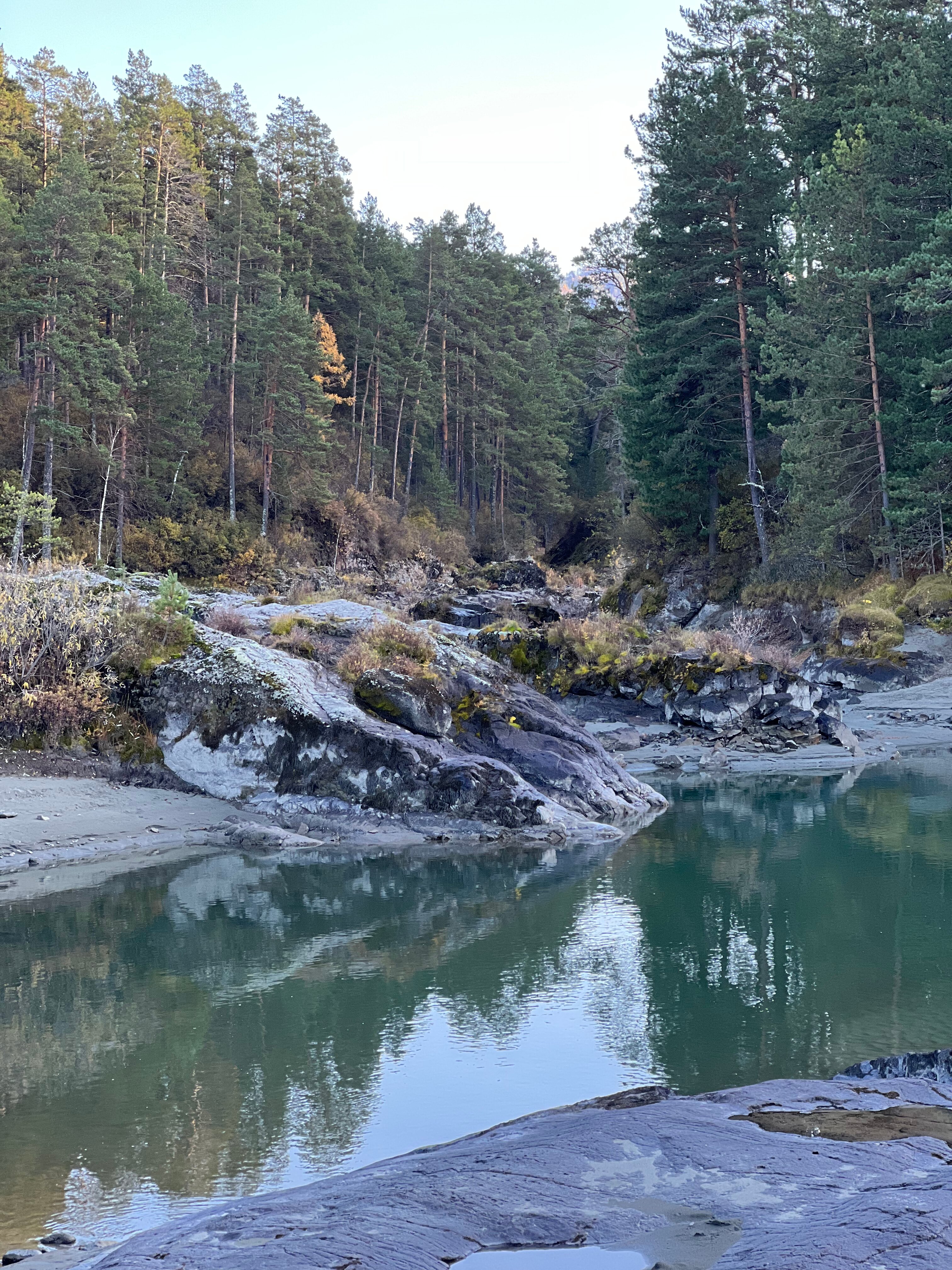 Фото Кедровый остров