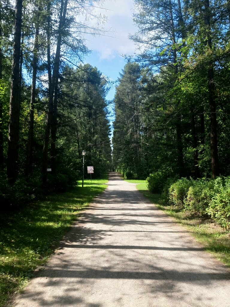 Park Дендропарк, Novosibirsk, photo