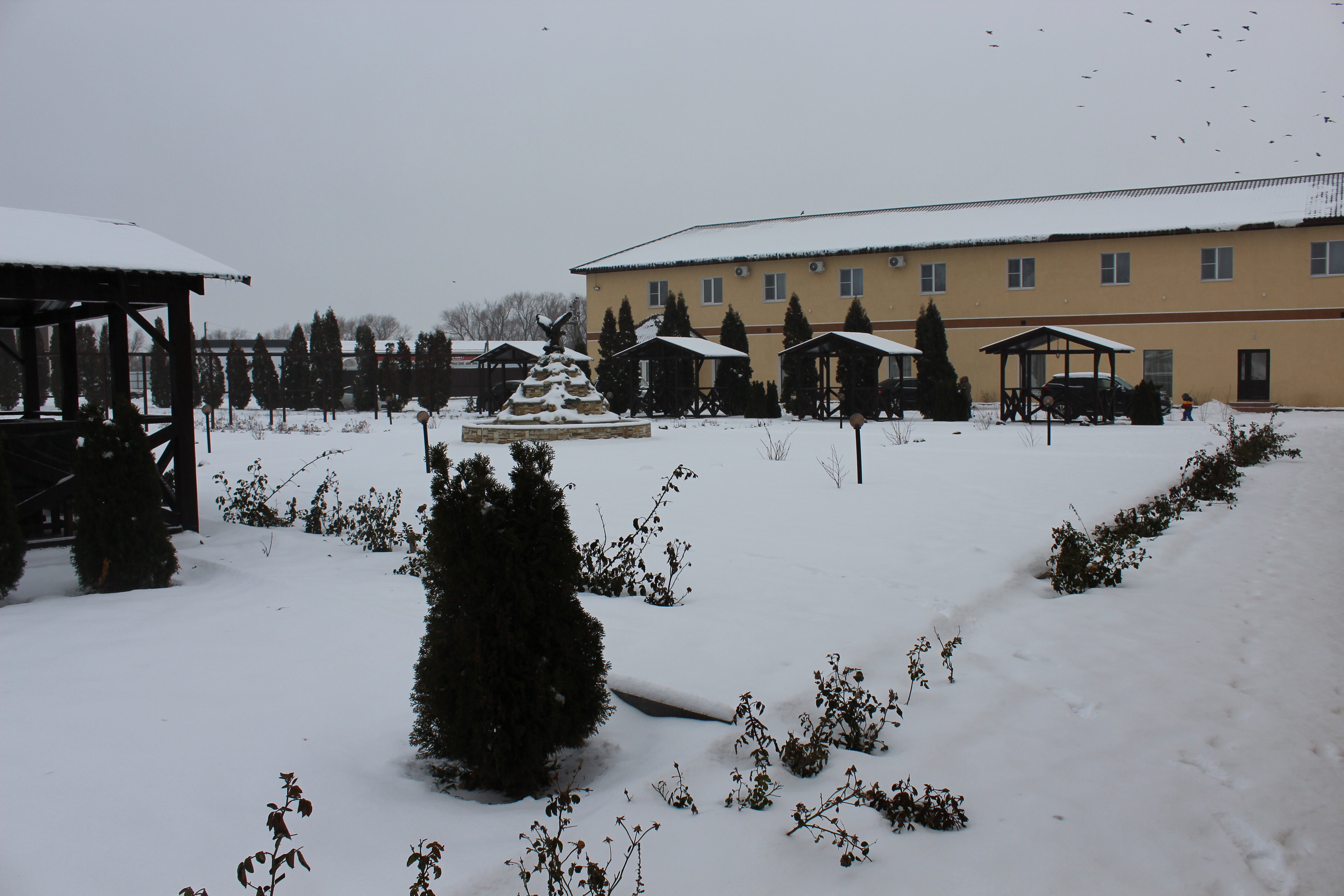 Фото Александрия