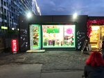 Белые розы (Saint Petersburg, Krylenko Street) ، محل زهور