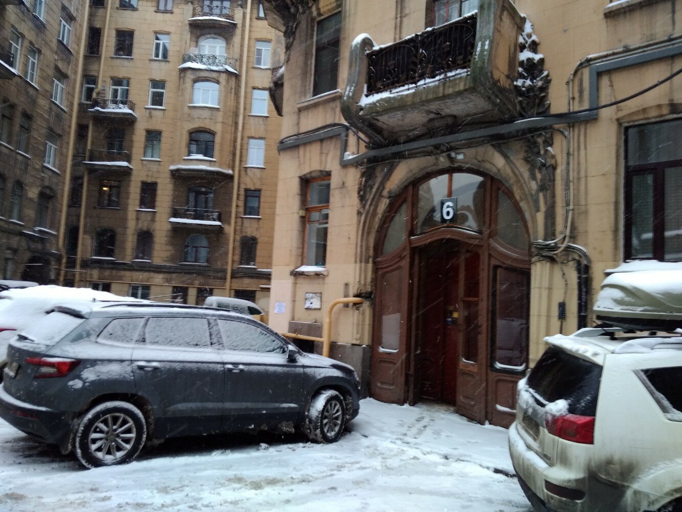 Фото Старый кот