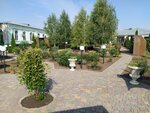 Psikhonevrologichesky Internat, Gbu Son (stanitsa Medvyodovskaya, ulitsa Lenina, 48) ، مستشفى للأمراض النفسية
