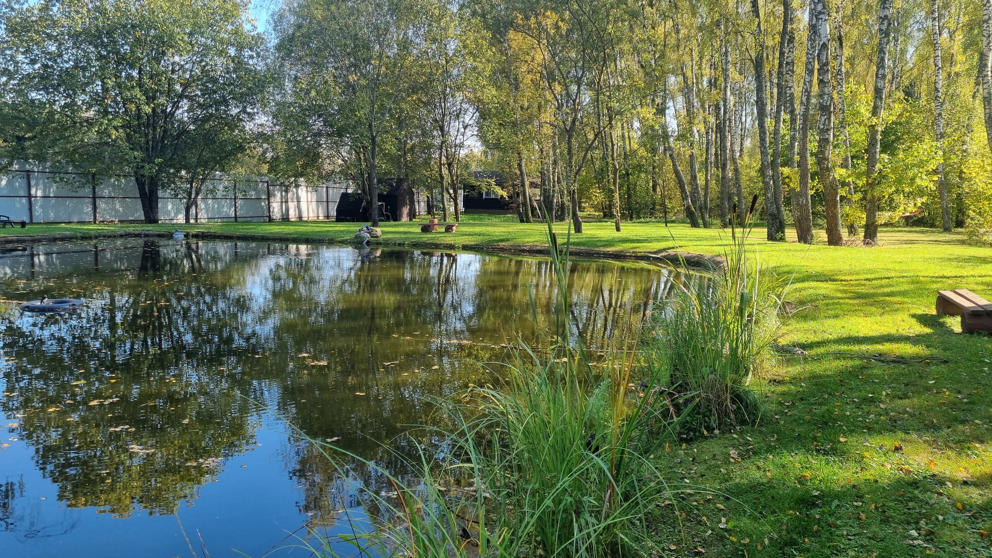 Фото Уютный домик в лесу у пруда