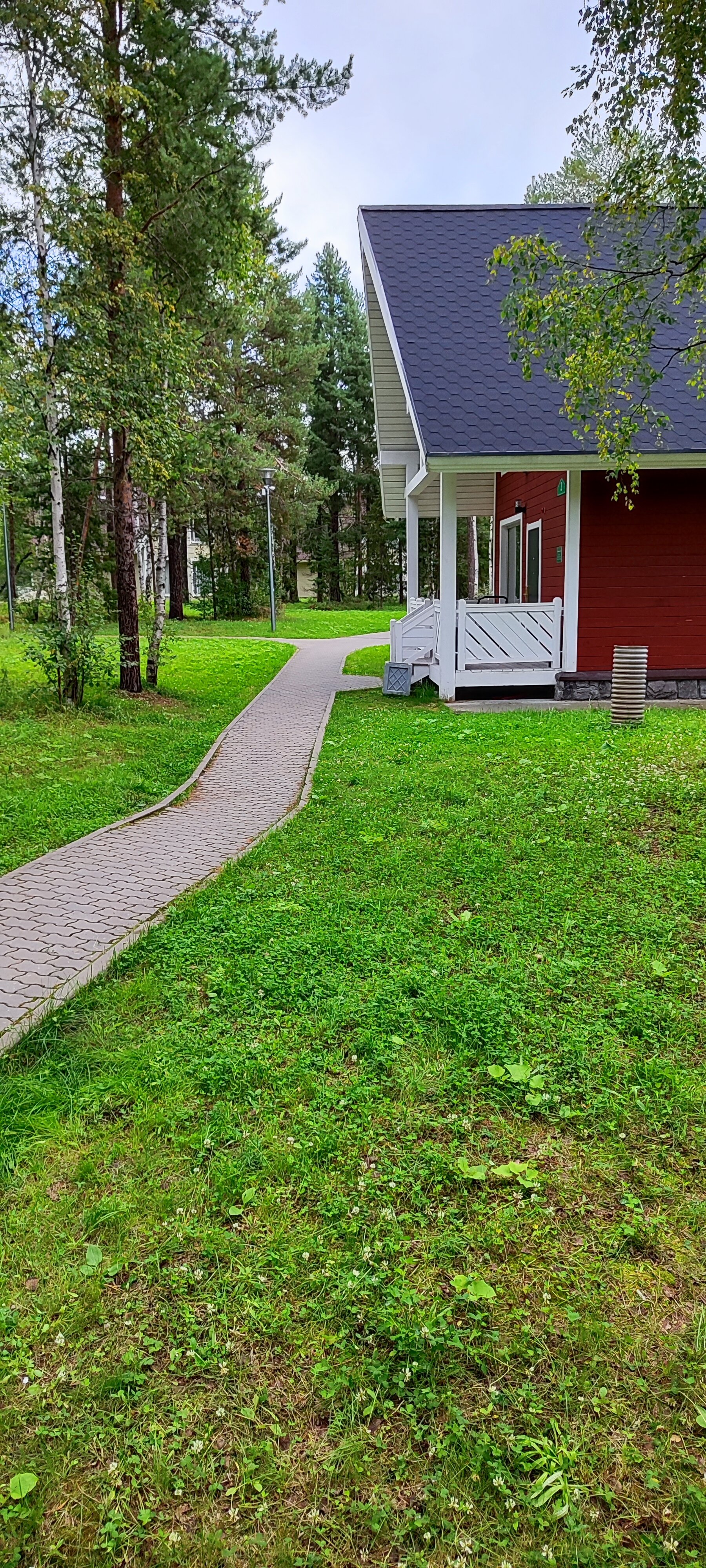 Фото Лесная