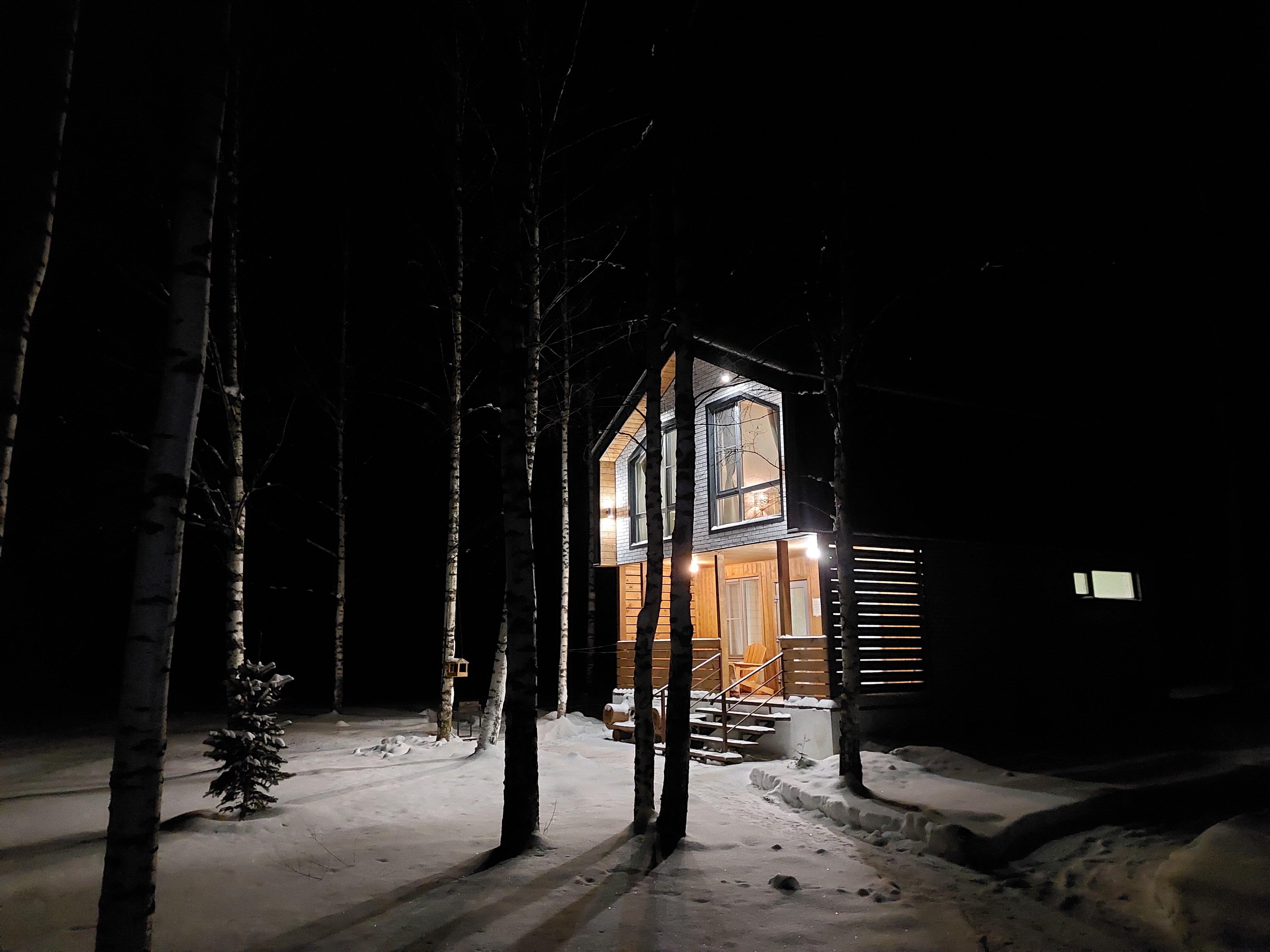 Фото Медведица Шанти