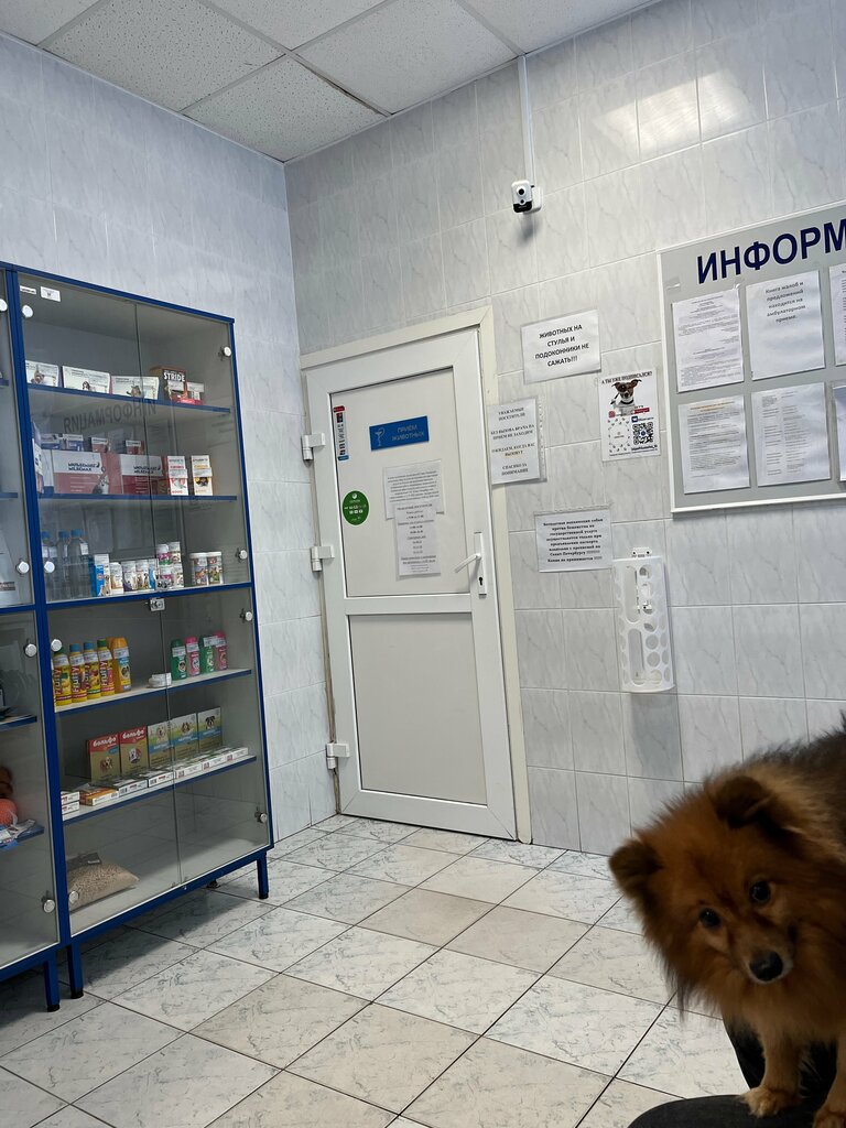 Veterinary clinic Veterinarnaya stantsiya Kolpinskogo i Pushkinskogo rayonov, Pushkin, photo