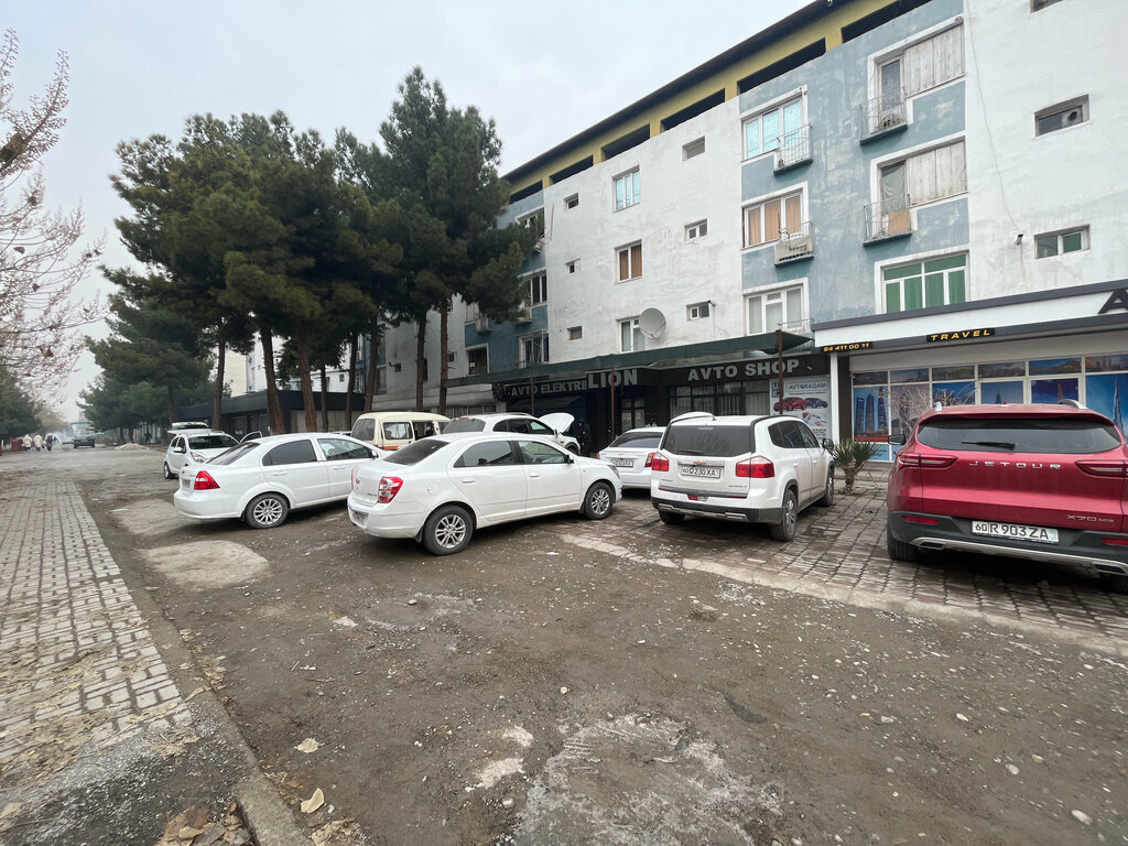 Autodiagnostics Brooklyn Perfomance, Andijan, photo