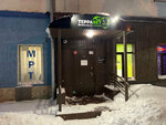 Terravet (Sovetskaya Street, 42), veterinary clinic