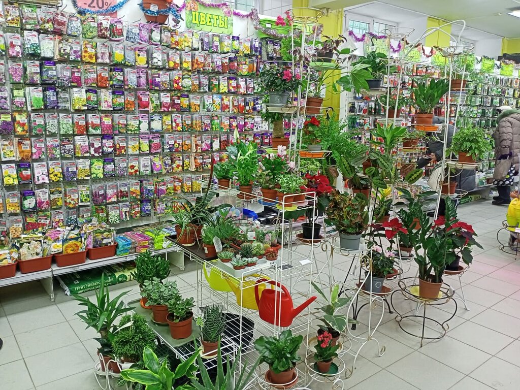 Gardening shop Semena Uspeha, Novosibirsk, photo