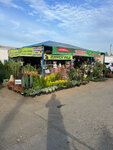 Wholesale market (Krasnodar Territory, Slavyansk-on-Kuban), farmers' market