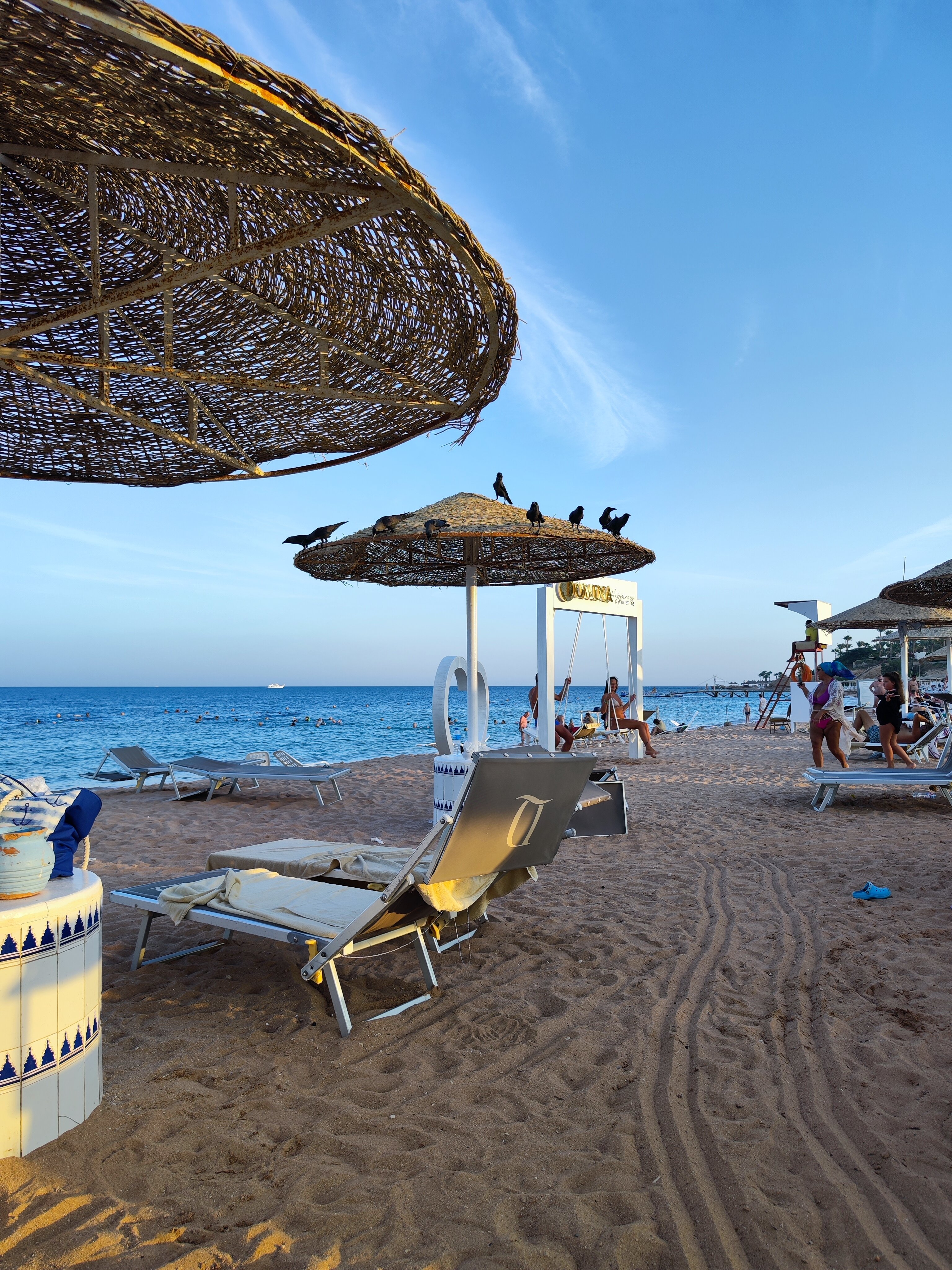 Фото Domina Coral Bay Oasis