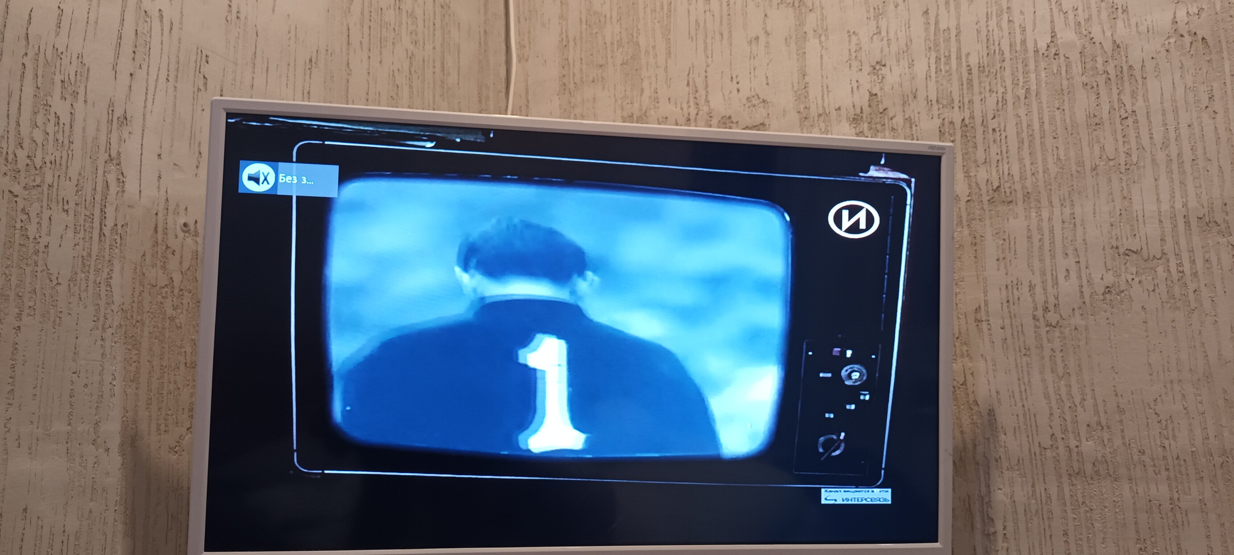 Фото Чемпион