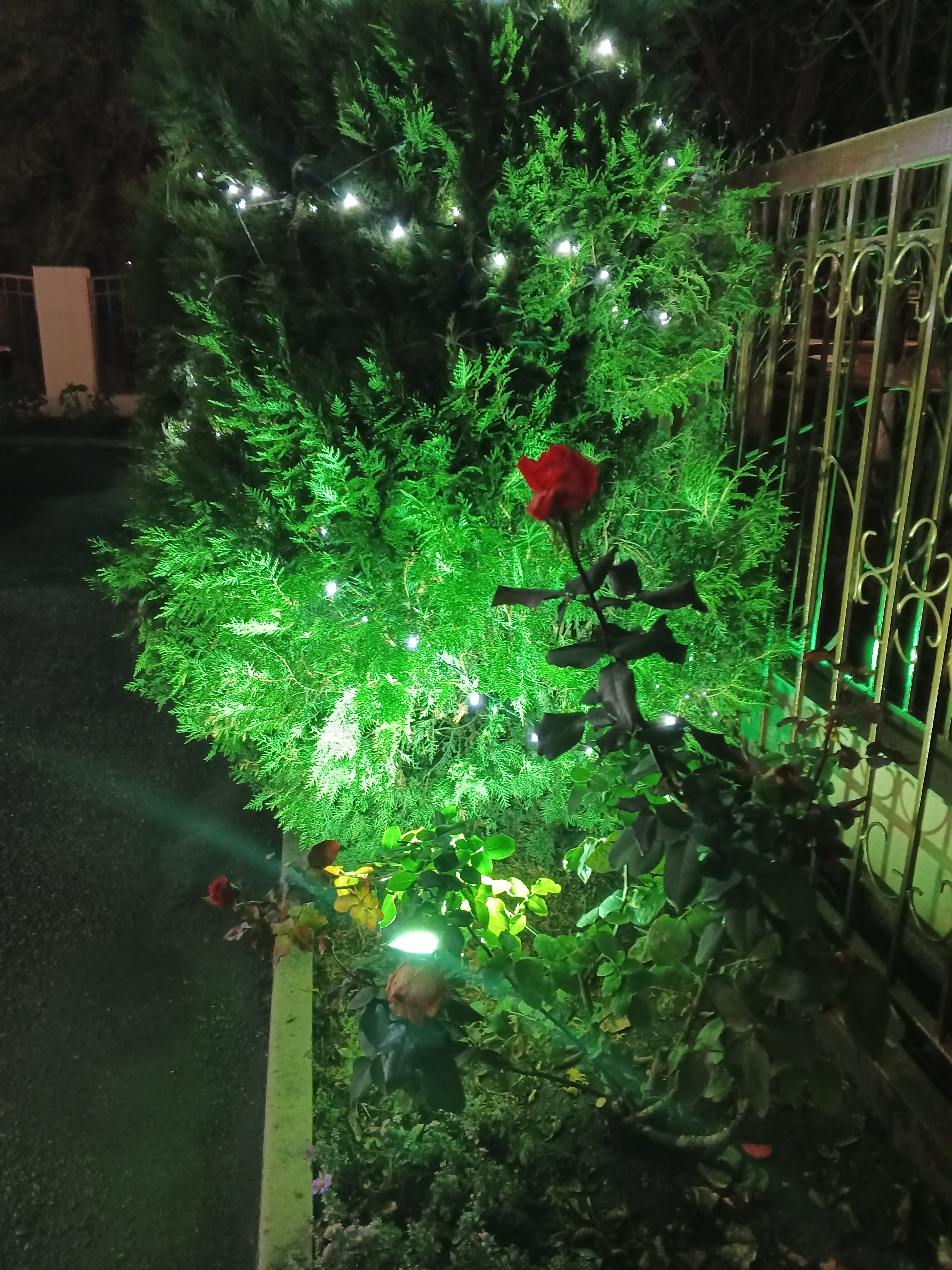 Фото Парк отдых