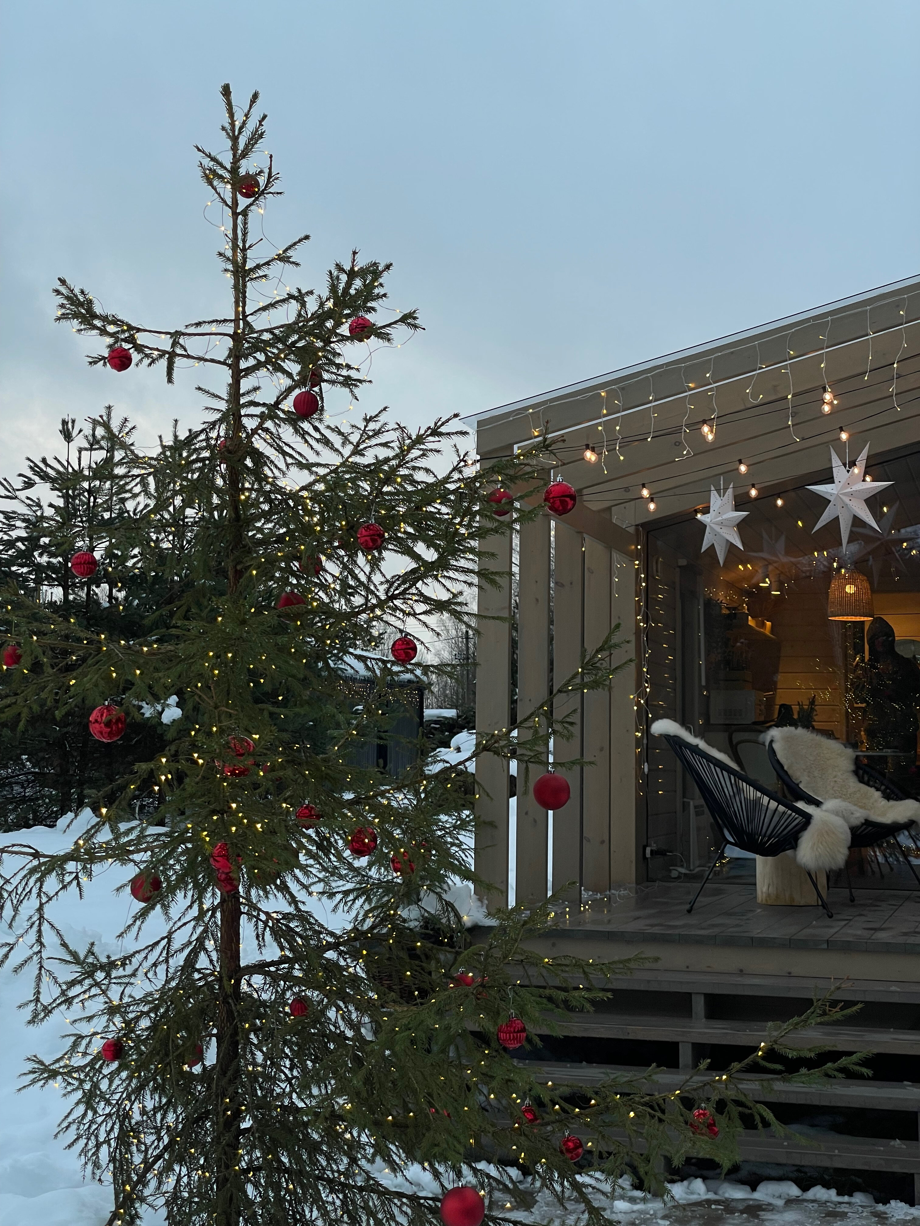 Фото Дача в соснах