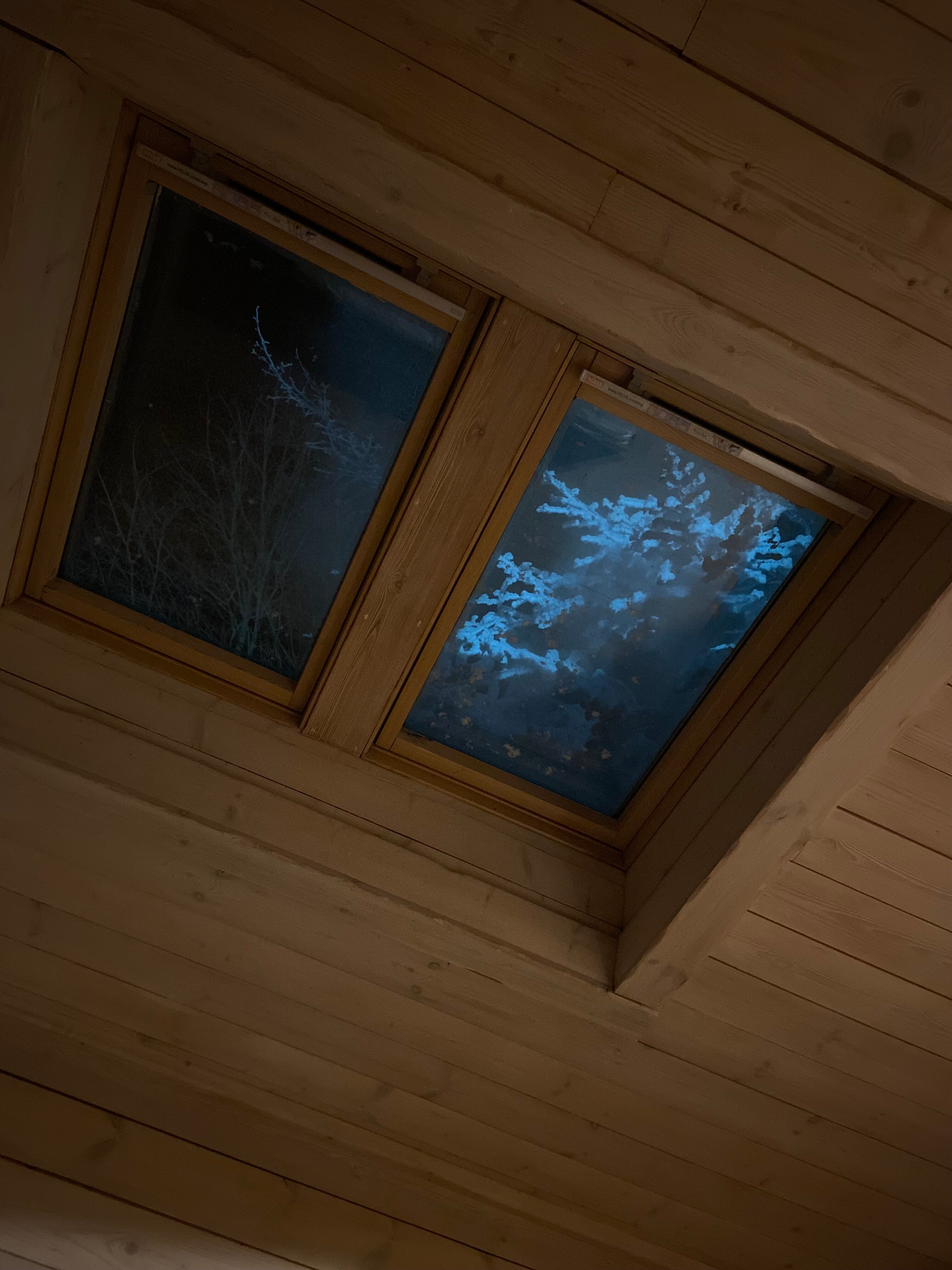 Фото Завидово-2