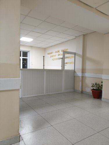 Hospital Bukinsky District Central Hospital, Bo'ka, photo