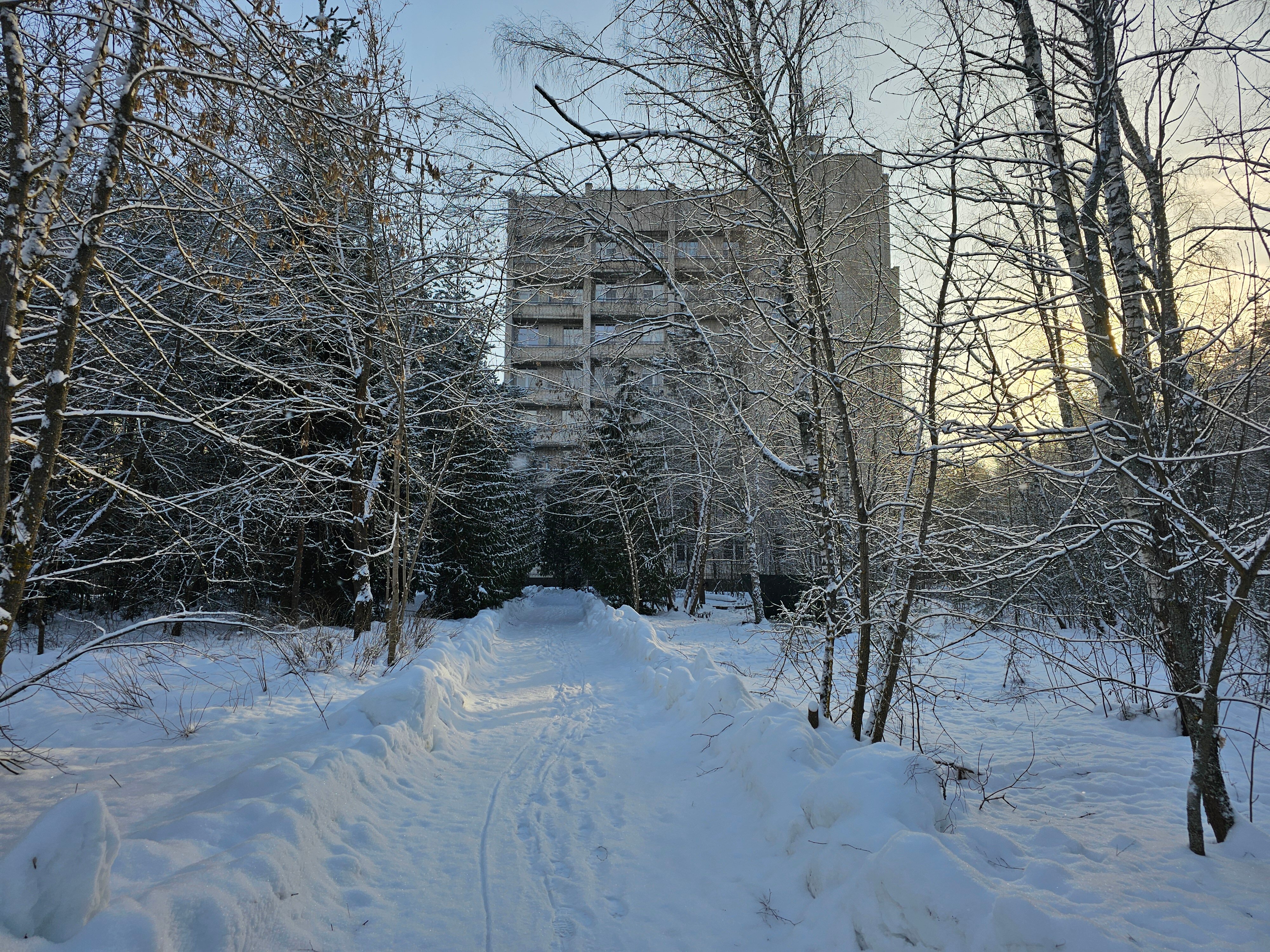 Фото Сосновый Бор