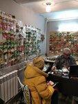 Семена у Суворовых (Угловой пер., 5), магазин семян в Санкт‑Петербурге