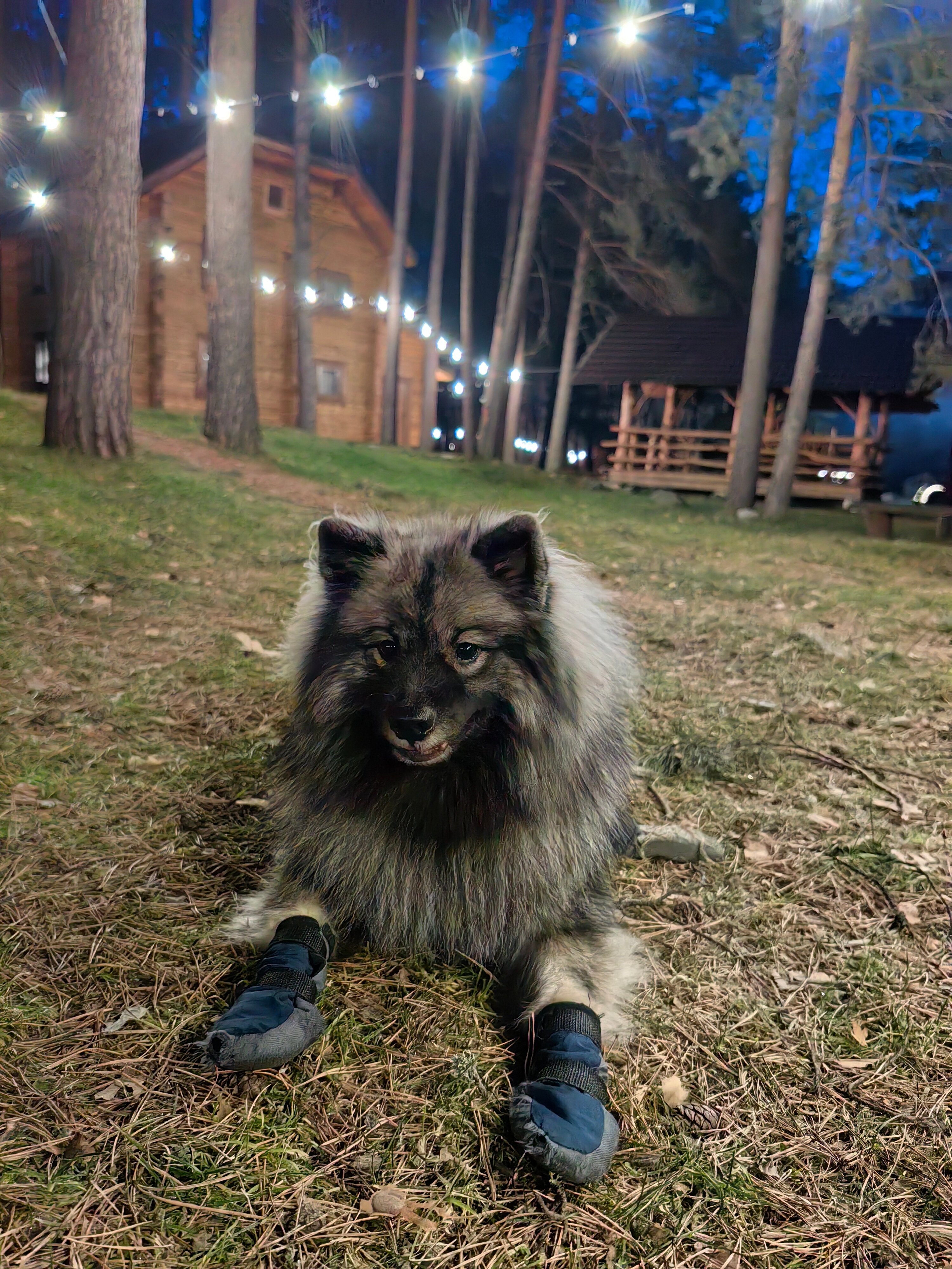 Фото Деревня Берендеевка
