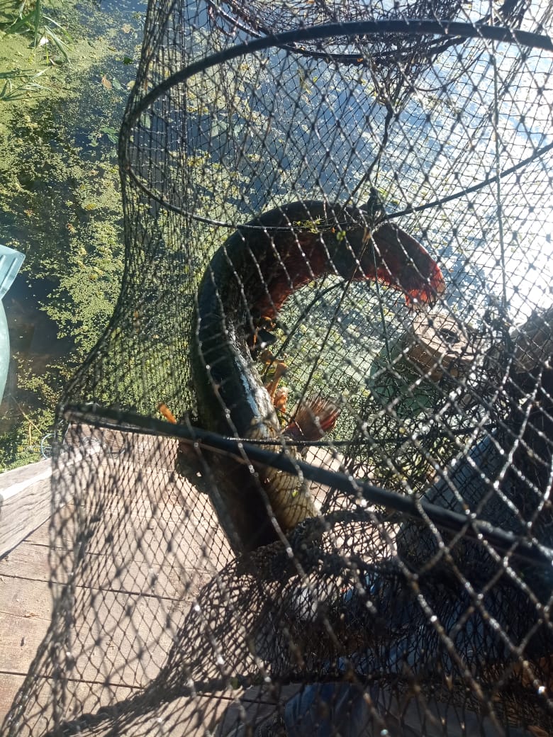 Фото Автомобилист