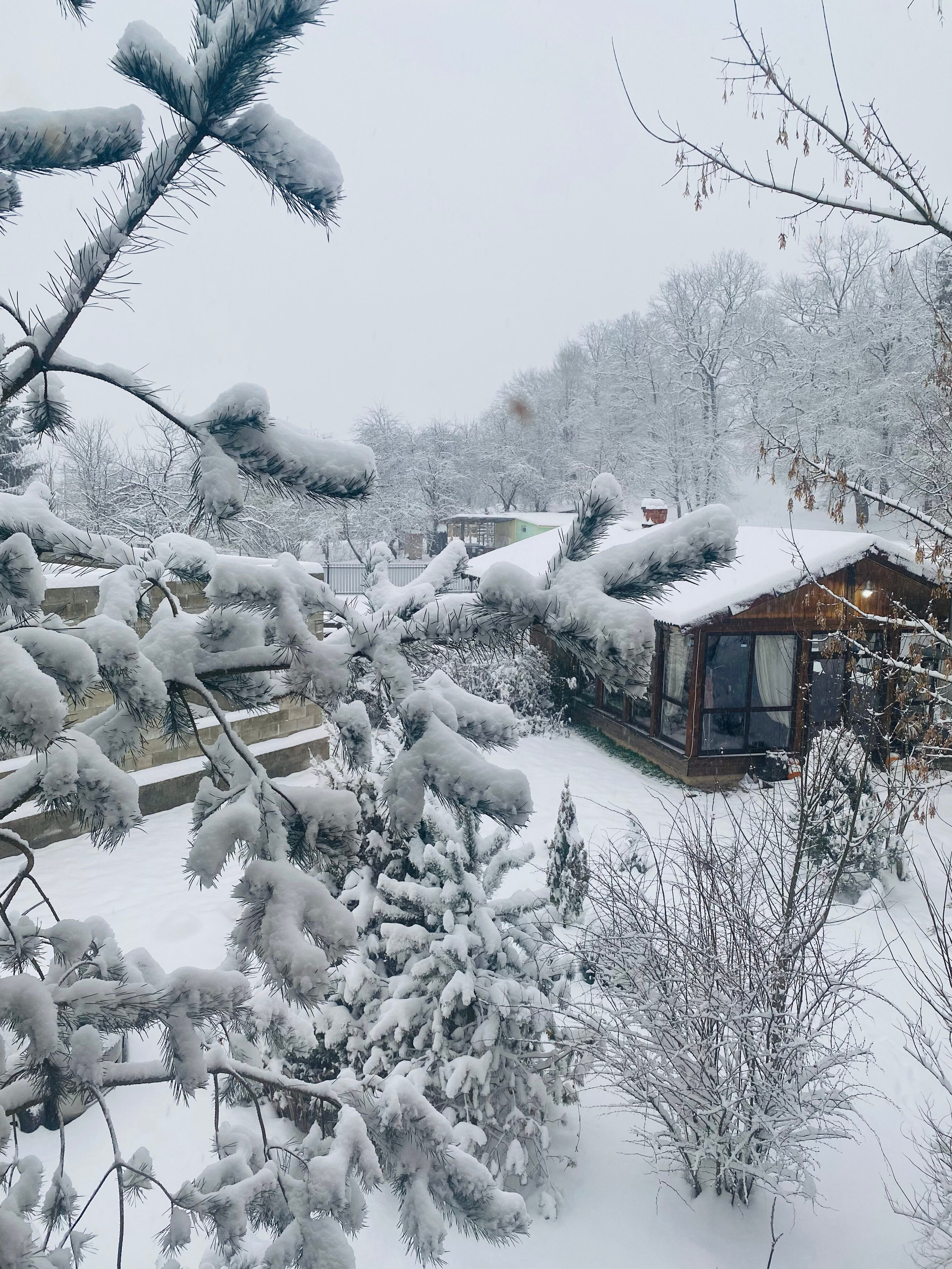 Фото Усадьба Заповедная