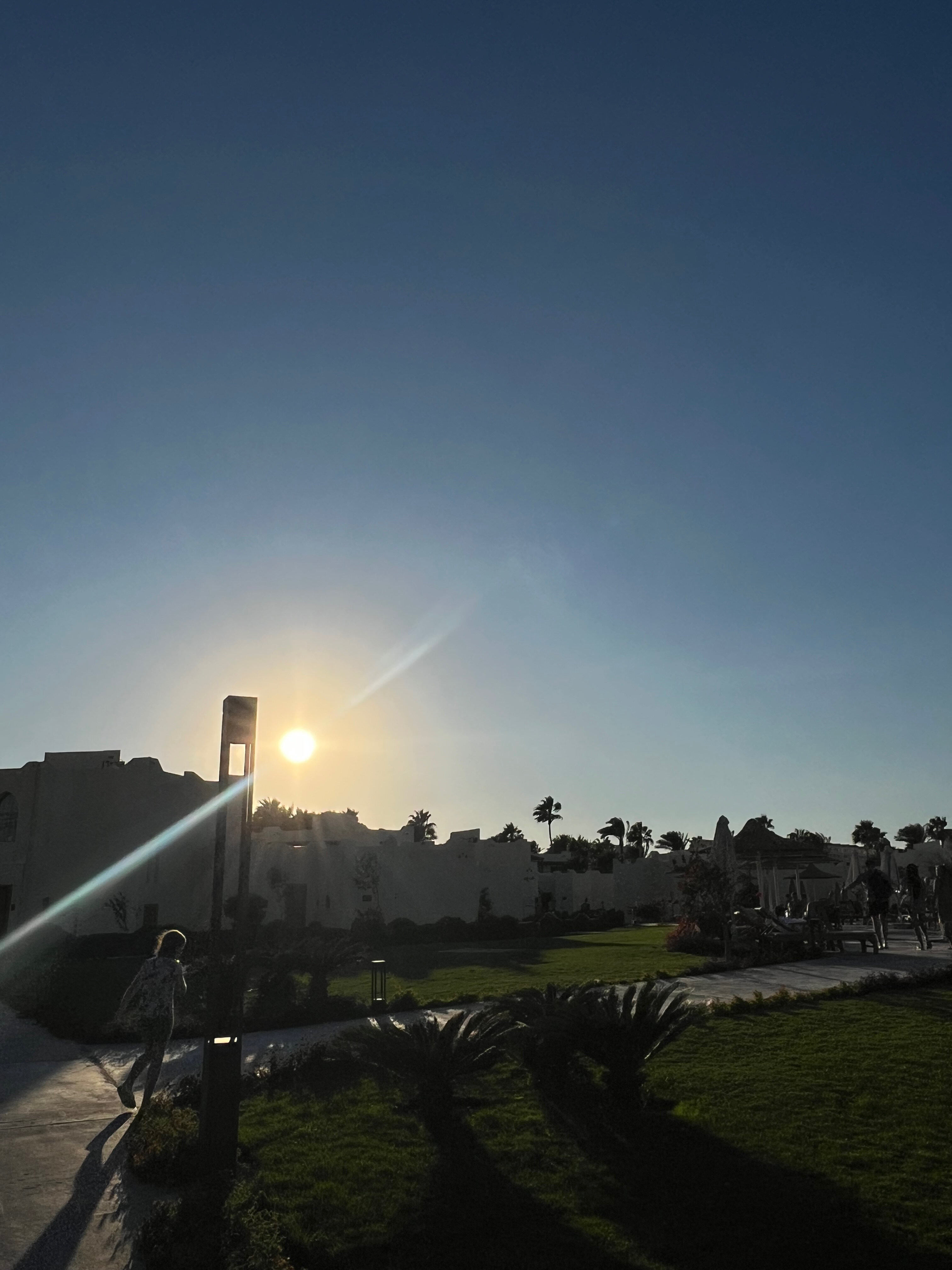 Фото 43410495811