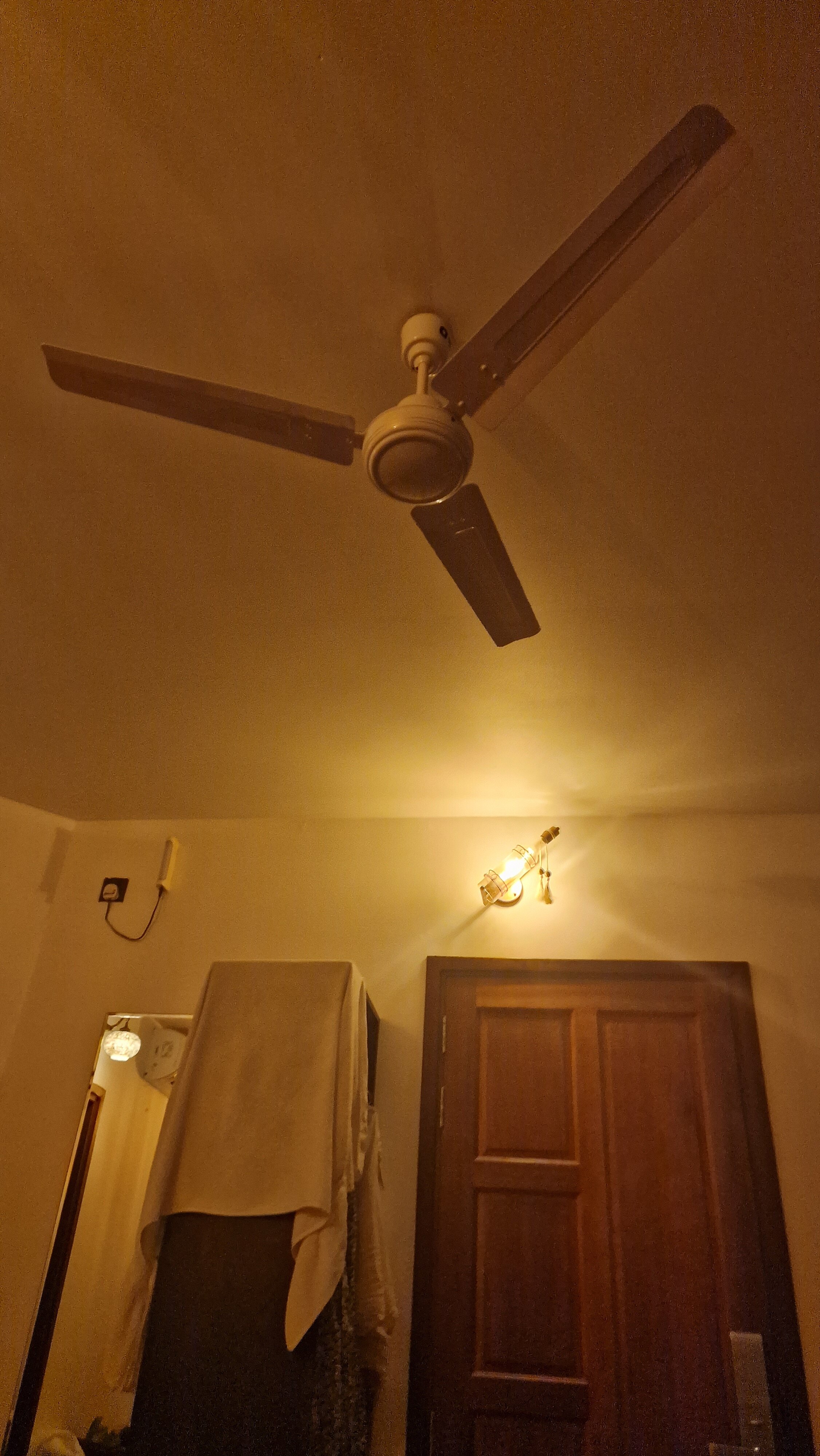 Фото Palm Residence