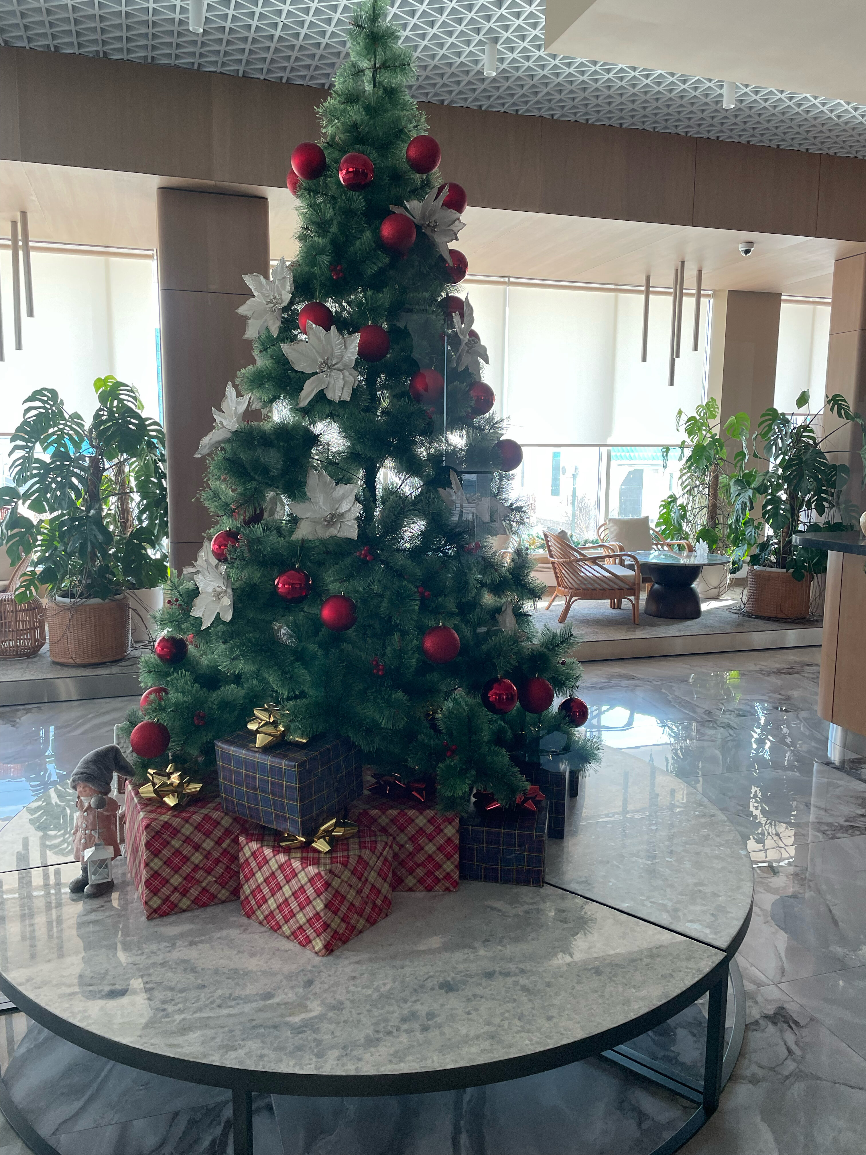 Фото Звезда моря