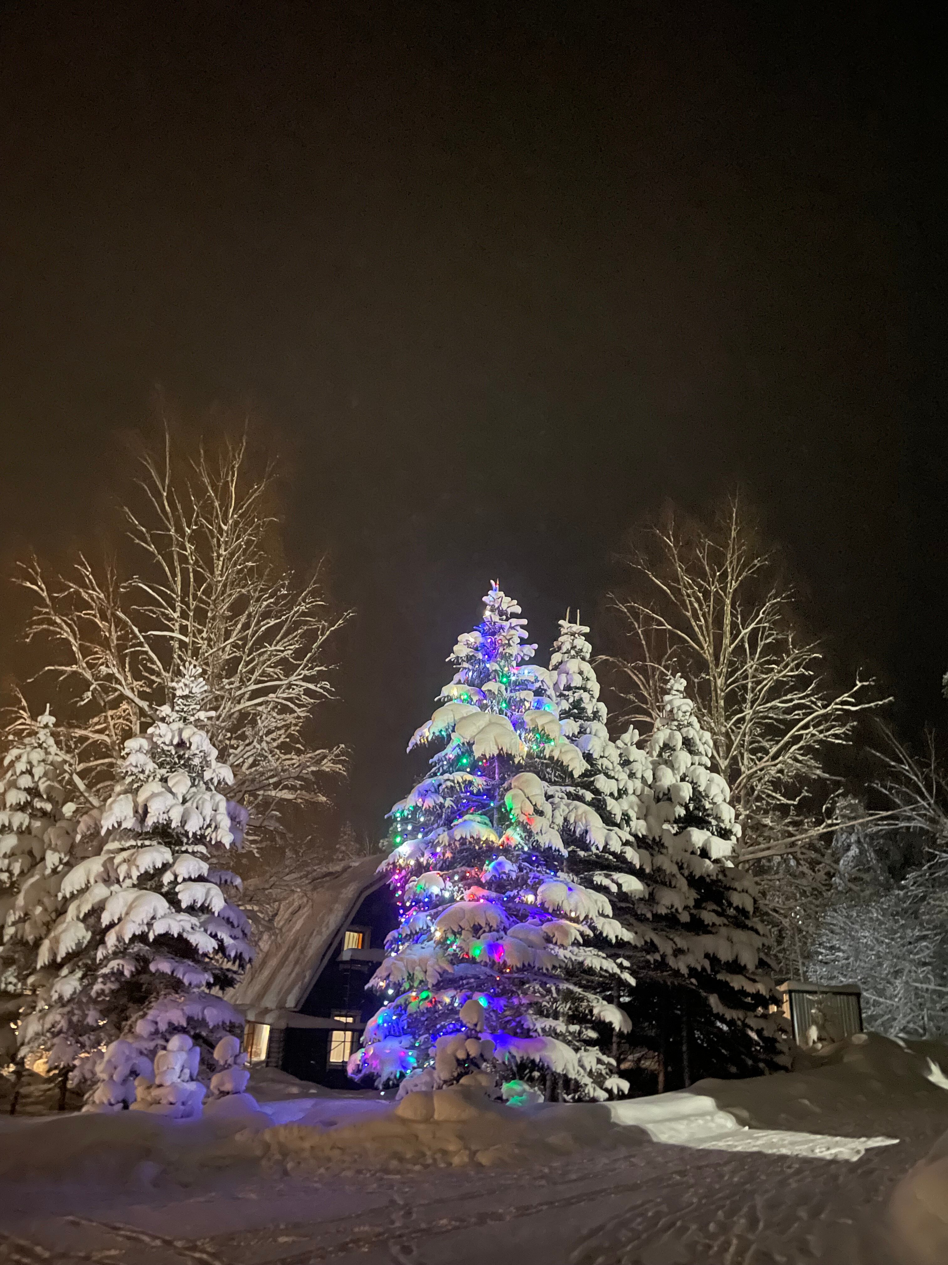 Фото Аквамарин